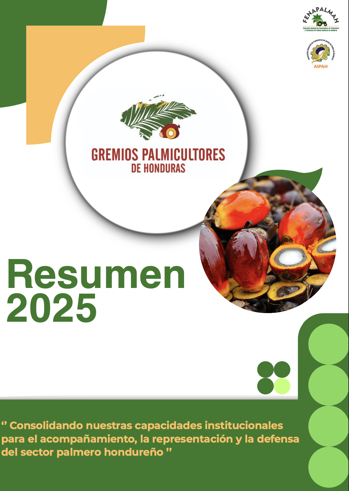 Portada del informe de resumen 2025 de los gremios palmicultores de Honduras. Incluye el logo de la organización, una ilustración de una palma, y una imagen de frutos de palma aceitera.