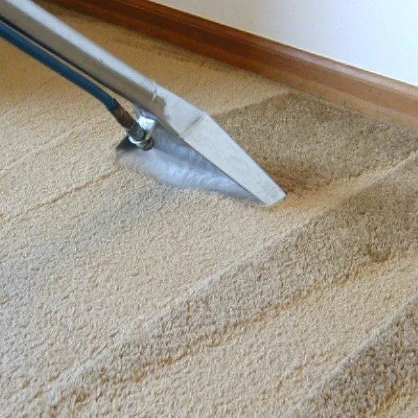 Carpet and Upholstery Cleaning Sutherland Shire