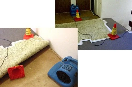 Construction area with a carpet partially lifted, orange safety cones, a blue fan, and a section of unfinished flooring.