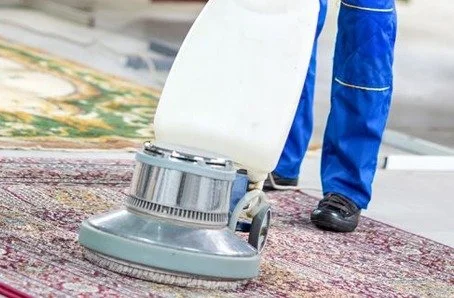 Person cleaning an area rug with a commercial carpet cleaner in a residential setting.