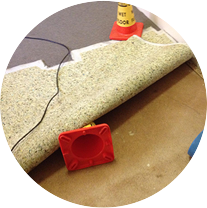 Flood Cleaning Sutherland Shire