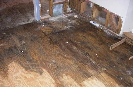 Damaged hardwood floor with visible water damage and unfinished wall.