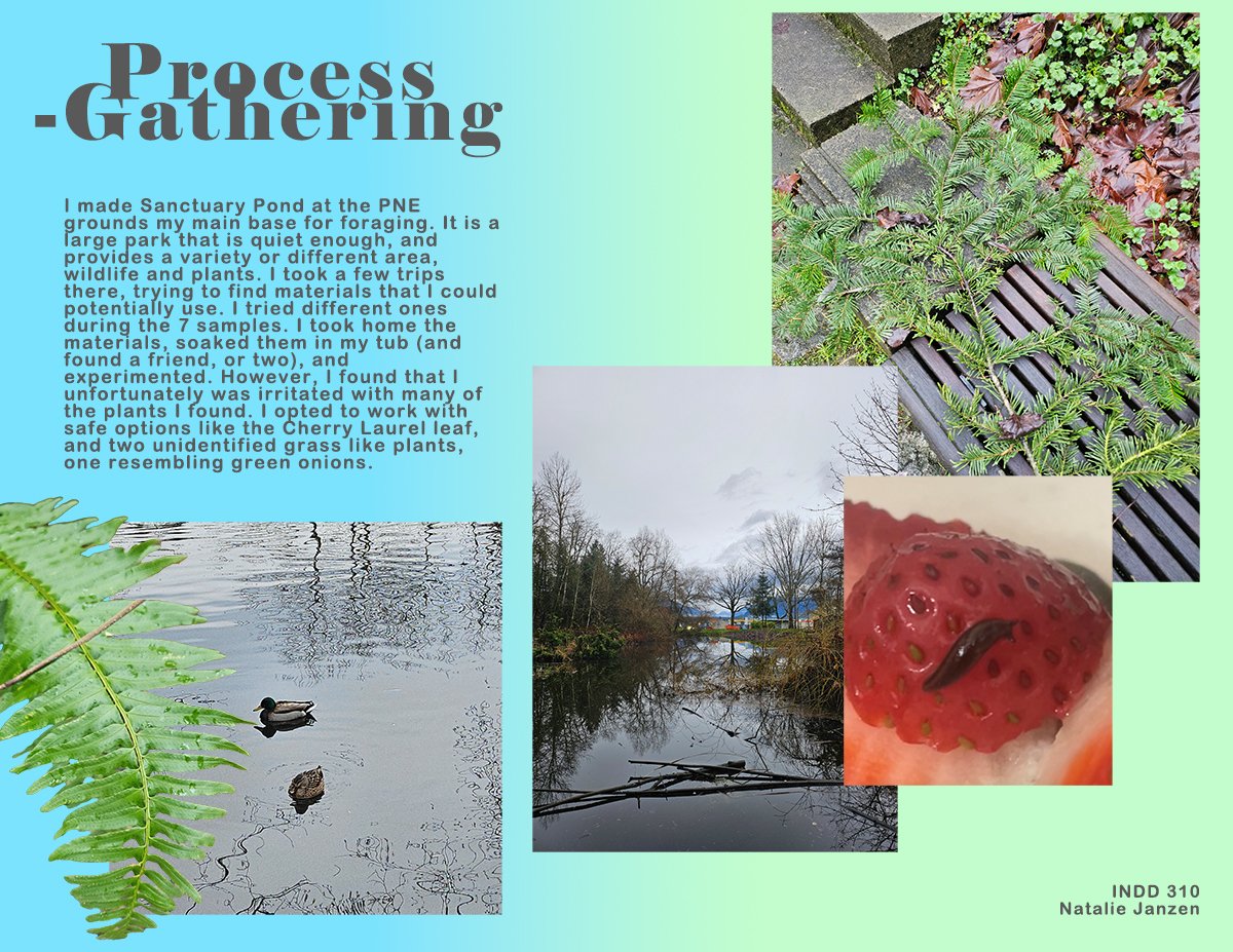 process - gathering copy.jpg