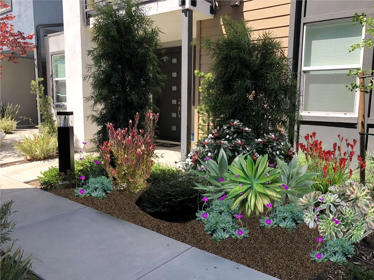 5 - Row 1, walkway planter near bldg 5-6.20.jpg