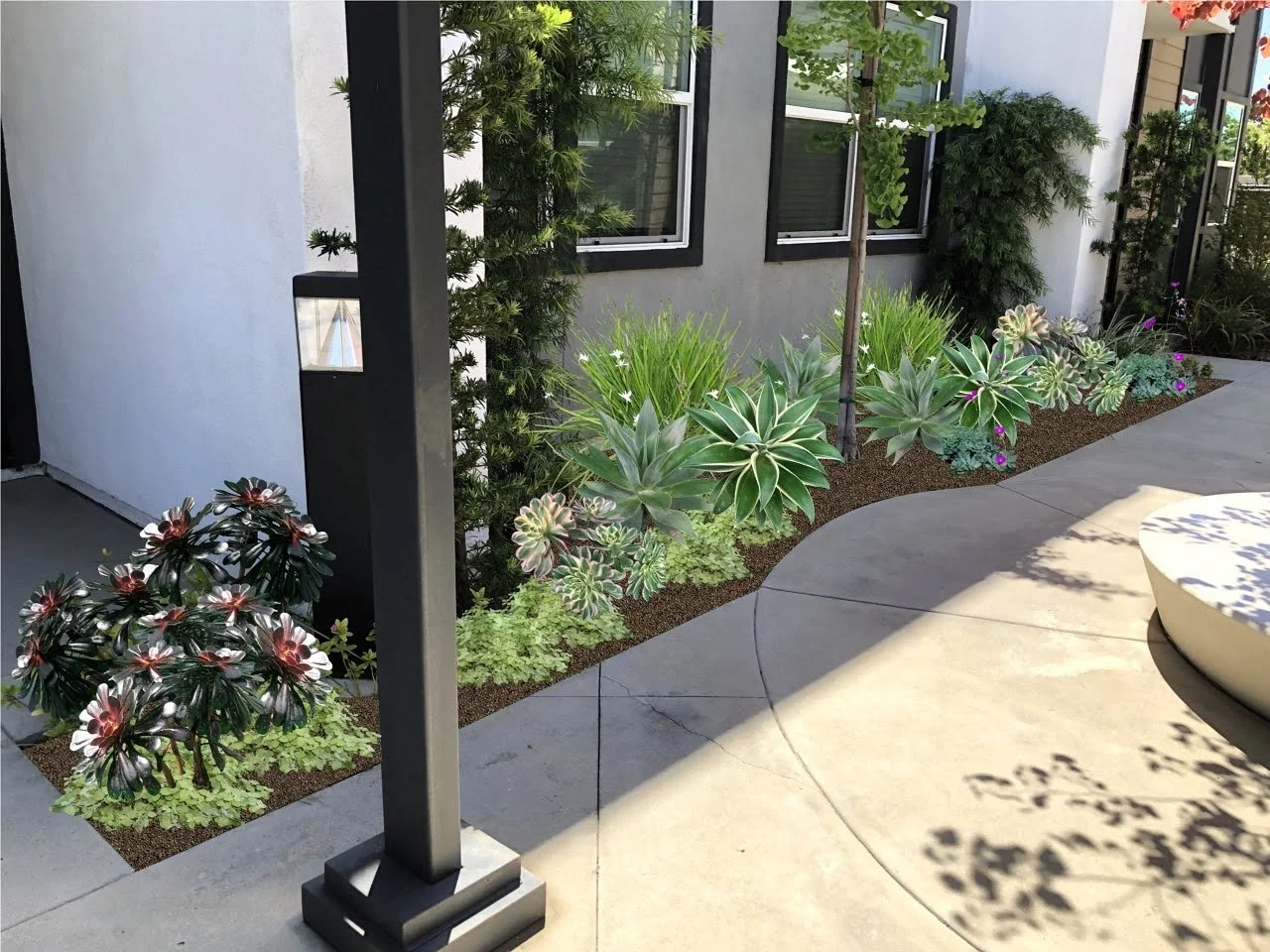 7 - Row 1, walkway planter near bldg 4-7.16.jpg