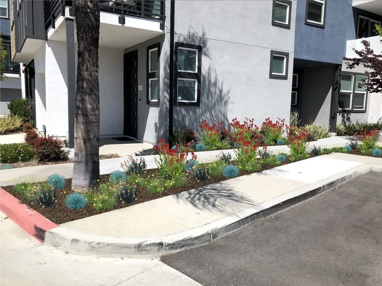 2 - Walkway Border Plantings (14339).jpg