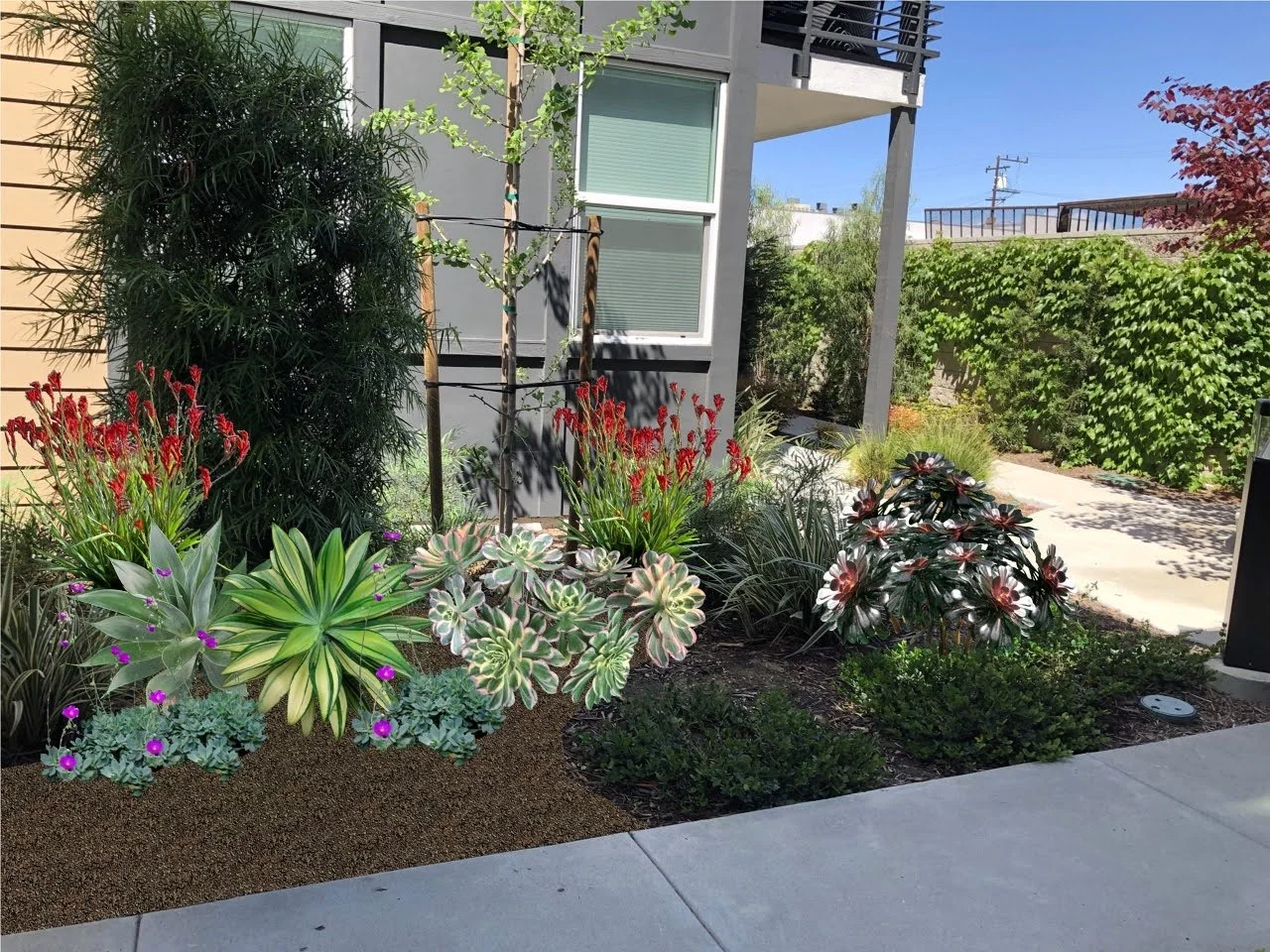 6 - Row 1, walkway planter near bldg 5-6.20.jpg