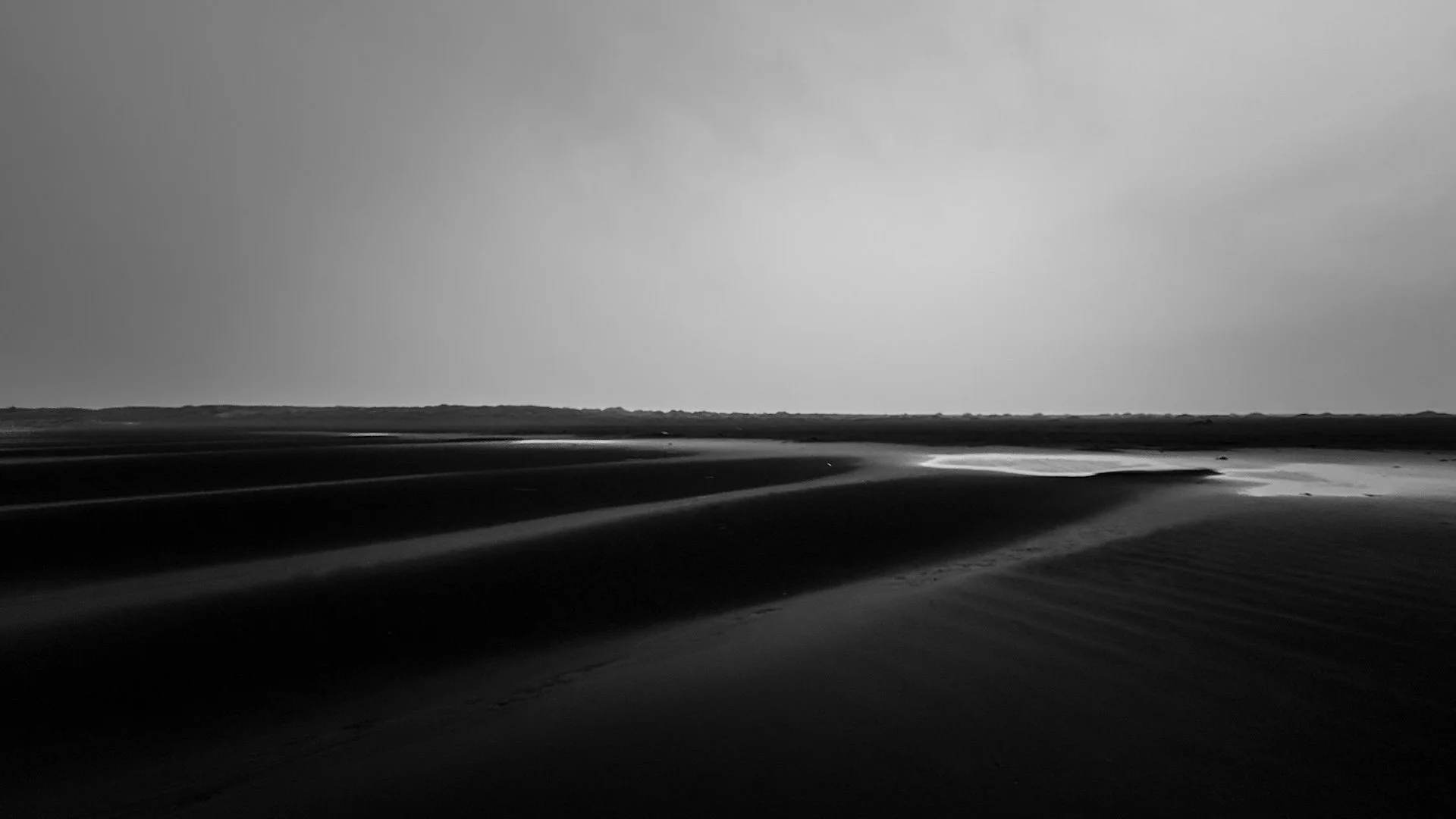 IMG_9478.jpg