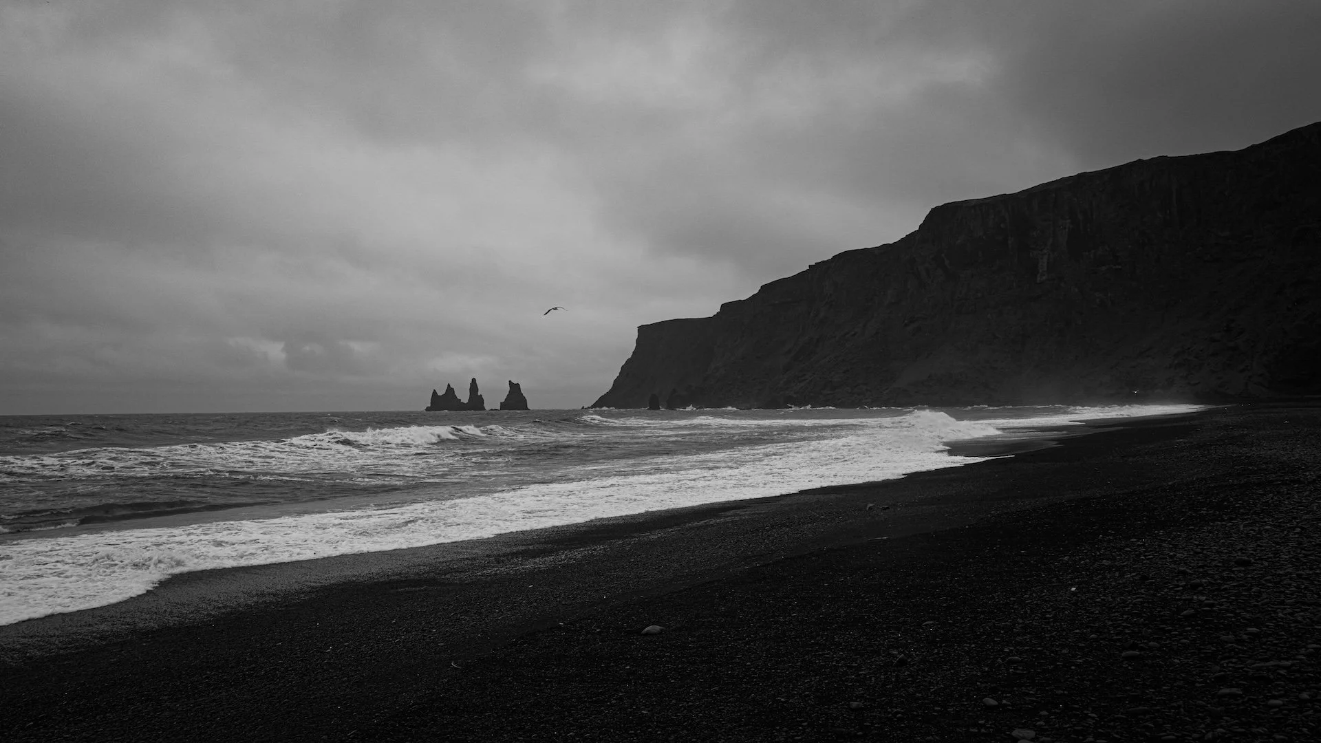 L1050477.jpg