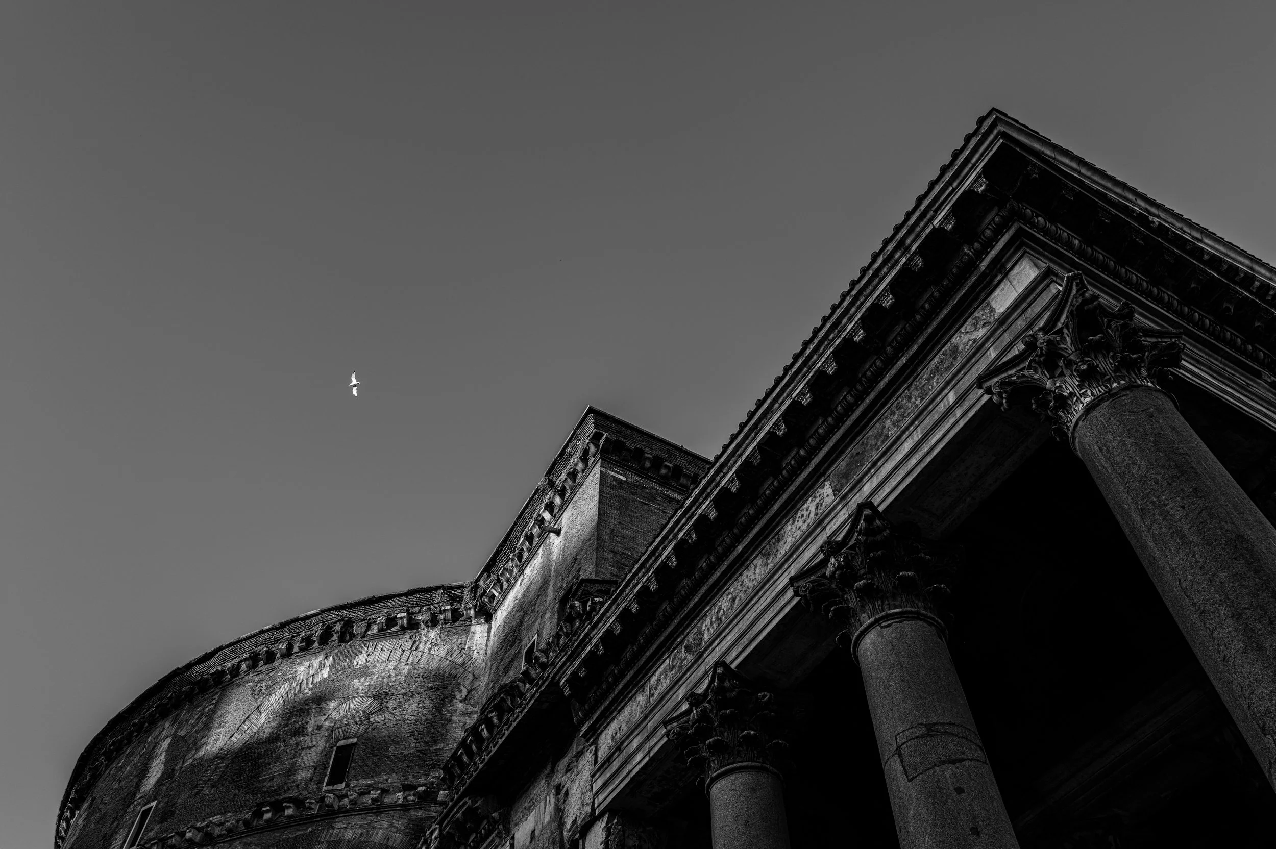 L1000183.jpeg