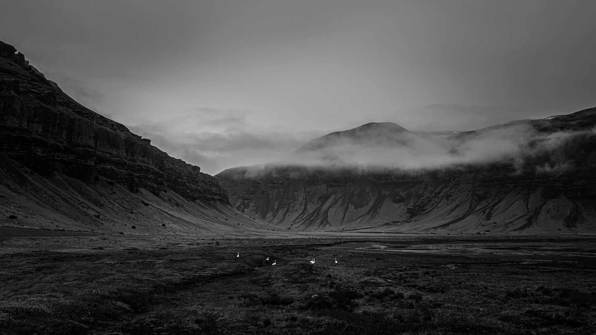 L1050554.jpg