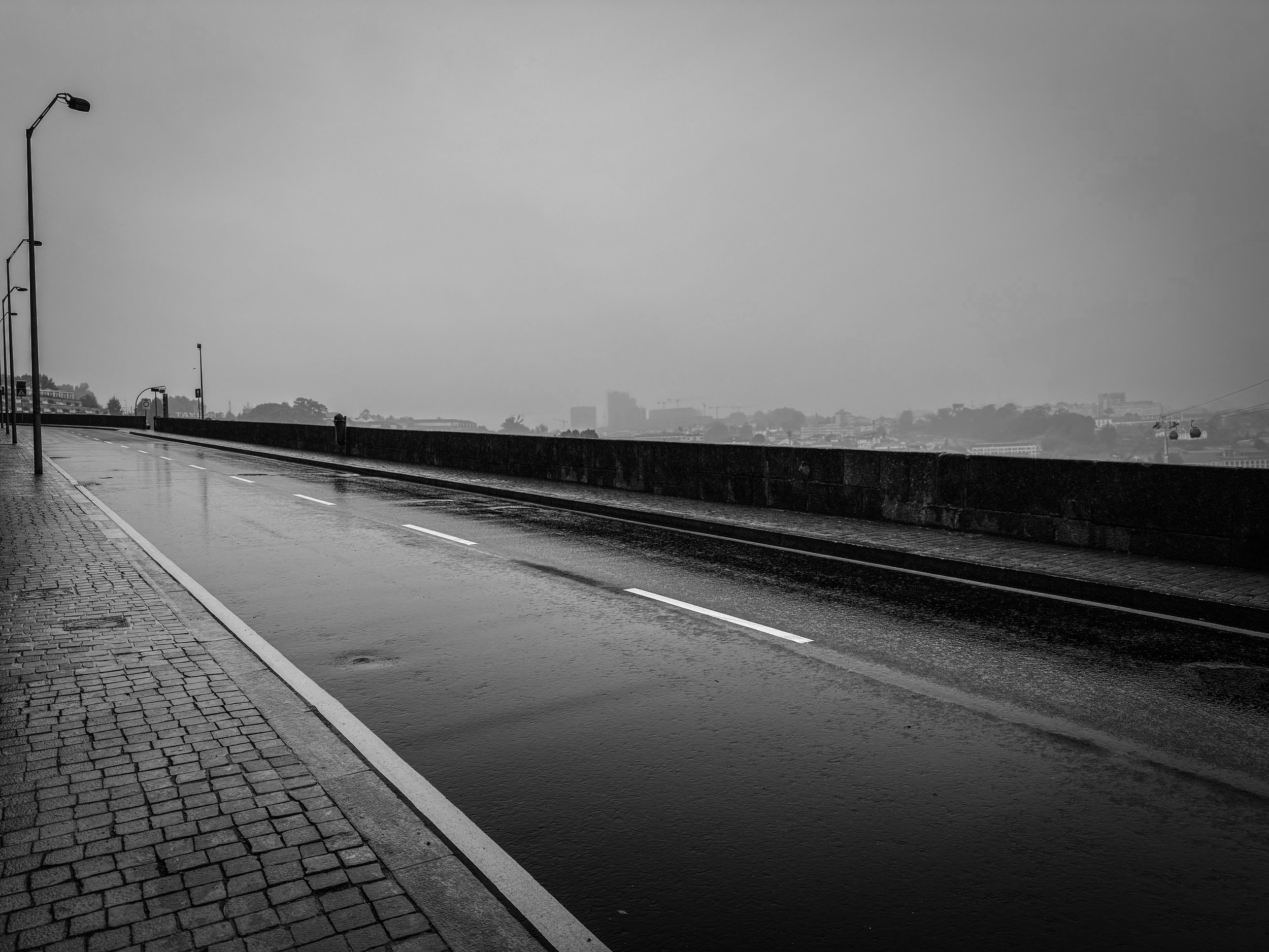 IMG_8581.jpg