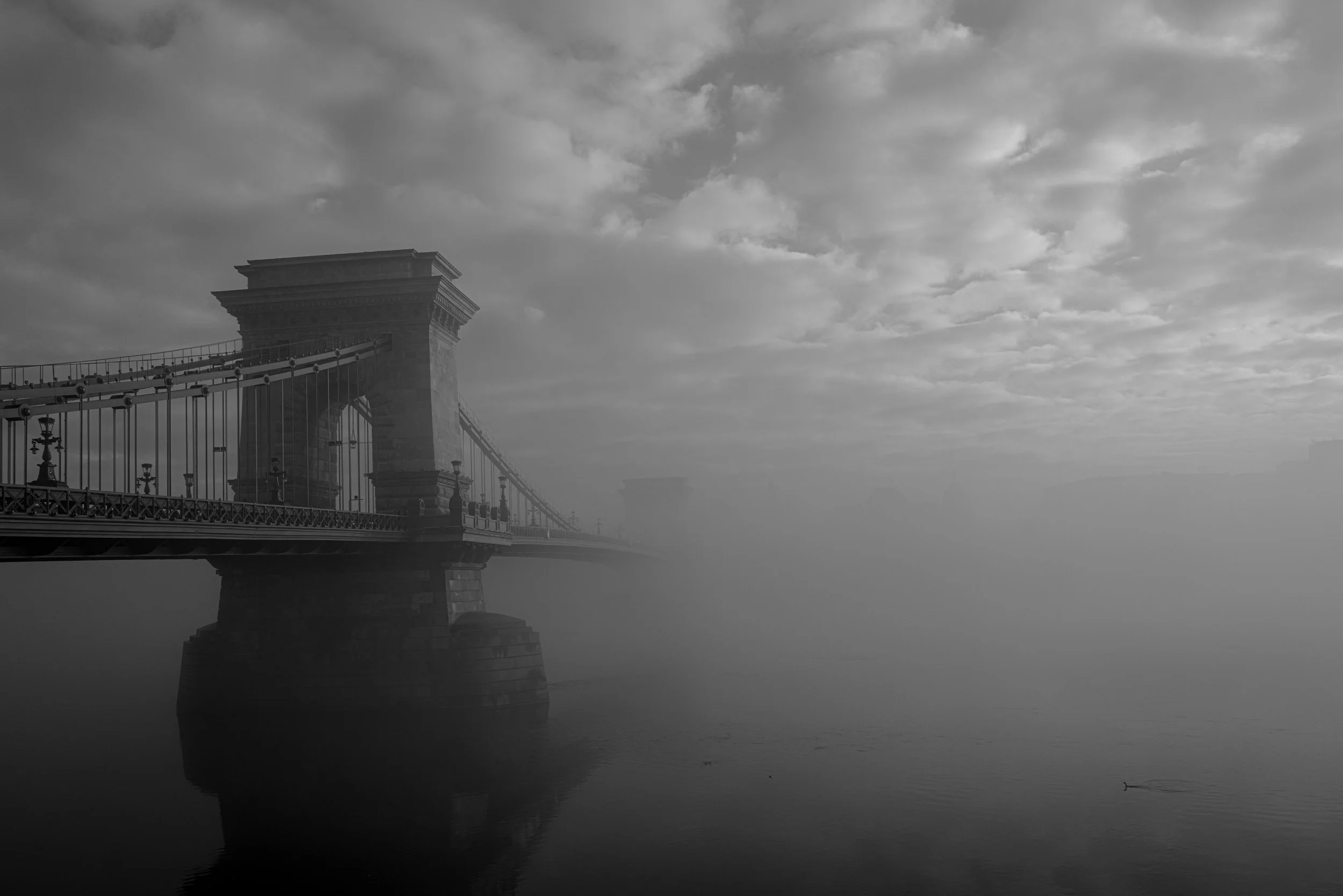 L1030914.jpg