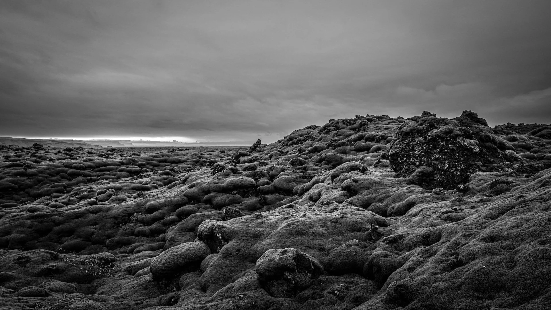 L1050549.jpg