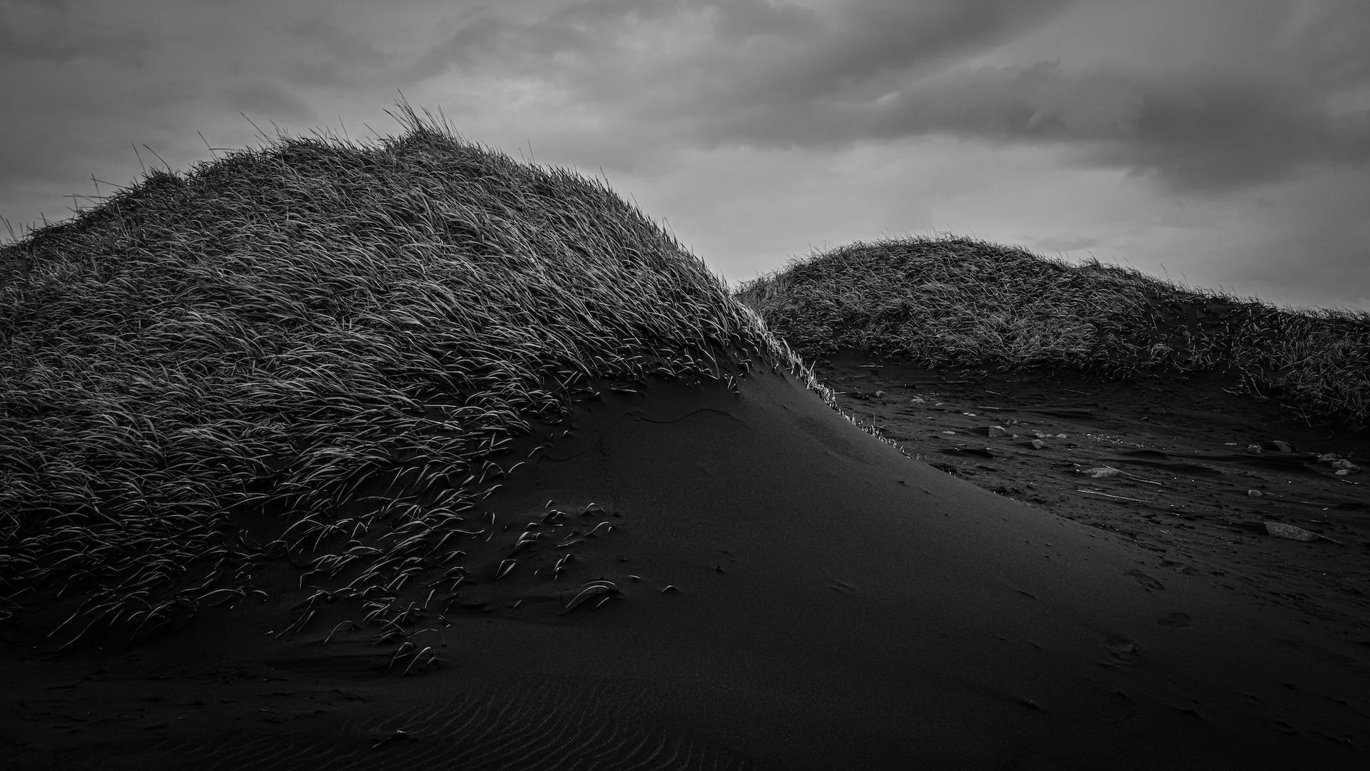 L1050795.jpg