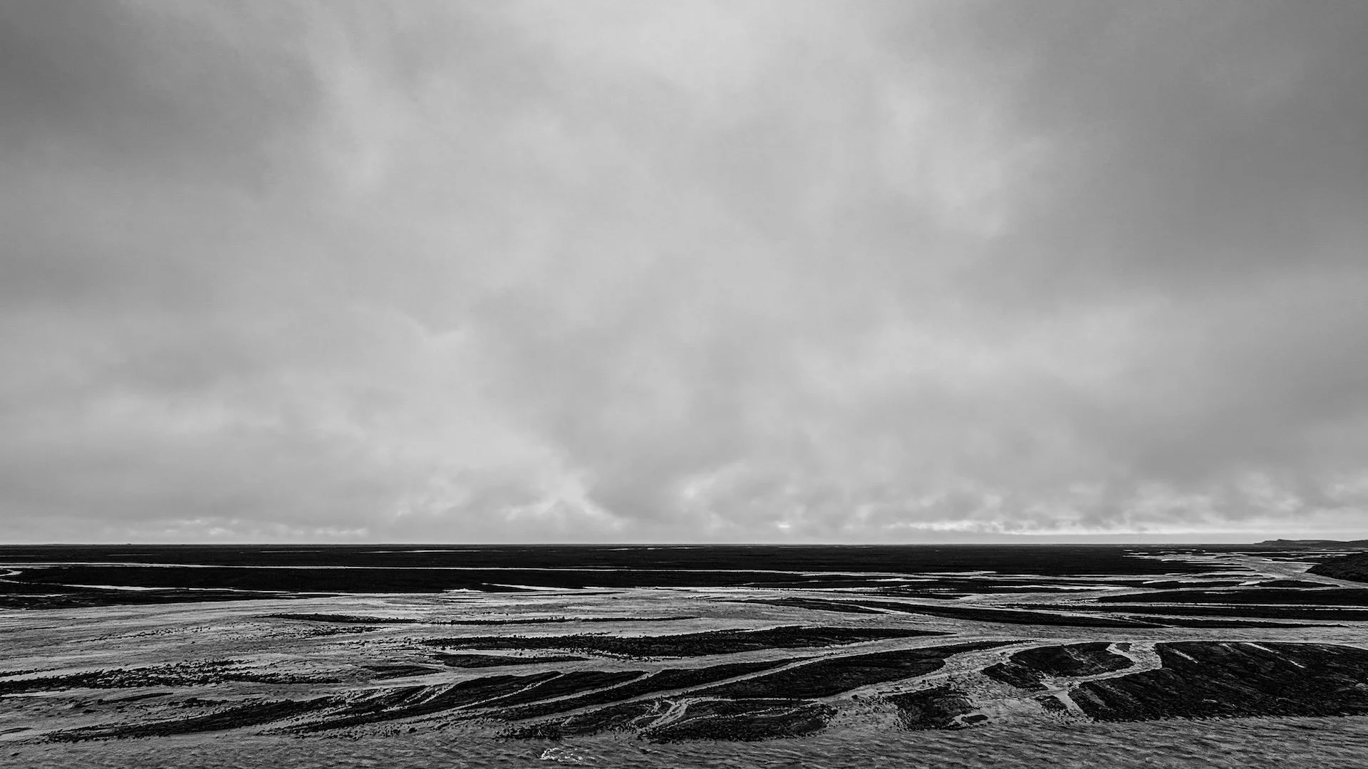 IMG_9985.jpg