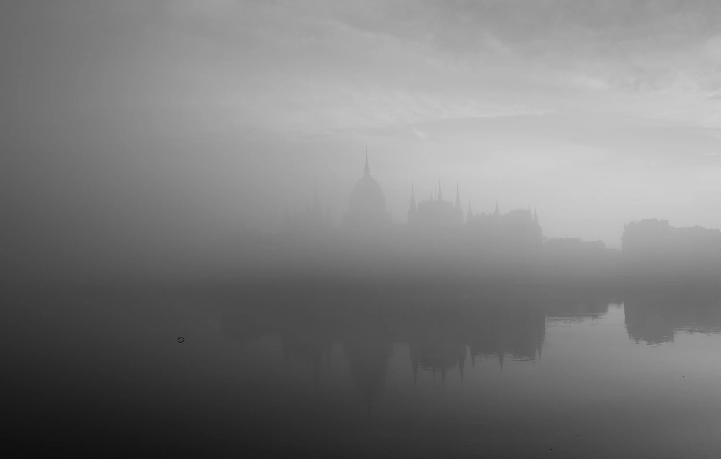 L1030781.jpg