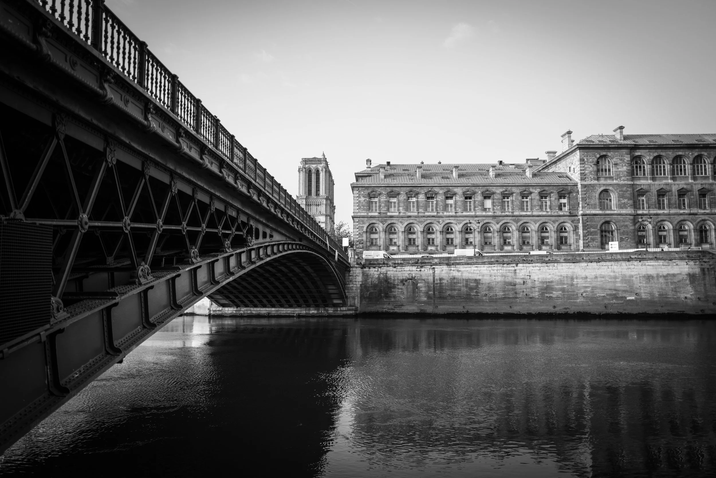 L1031318.jpg