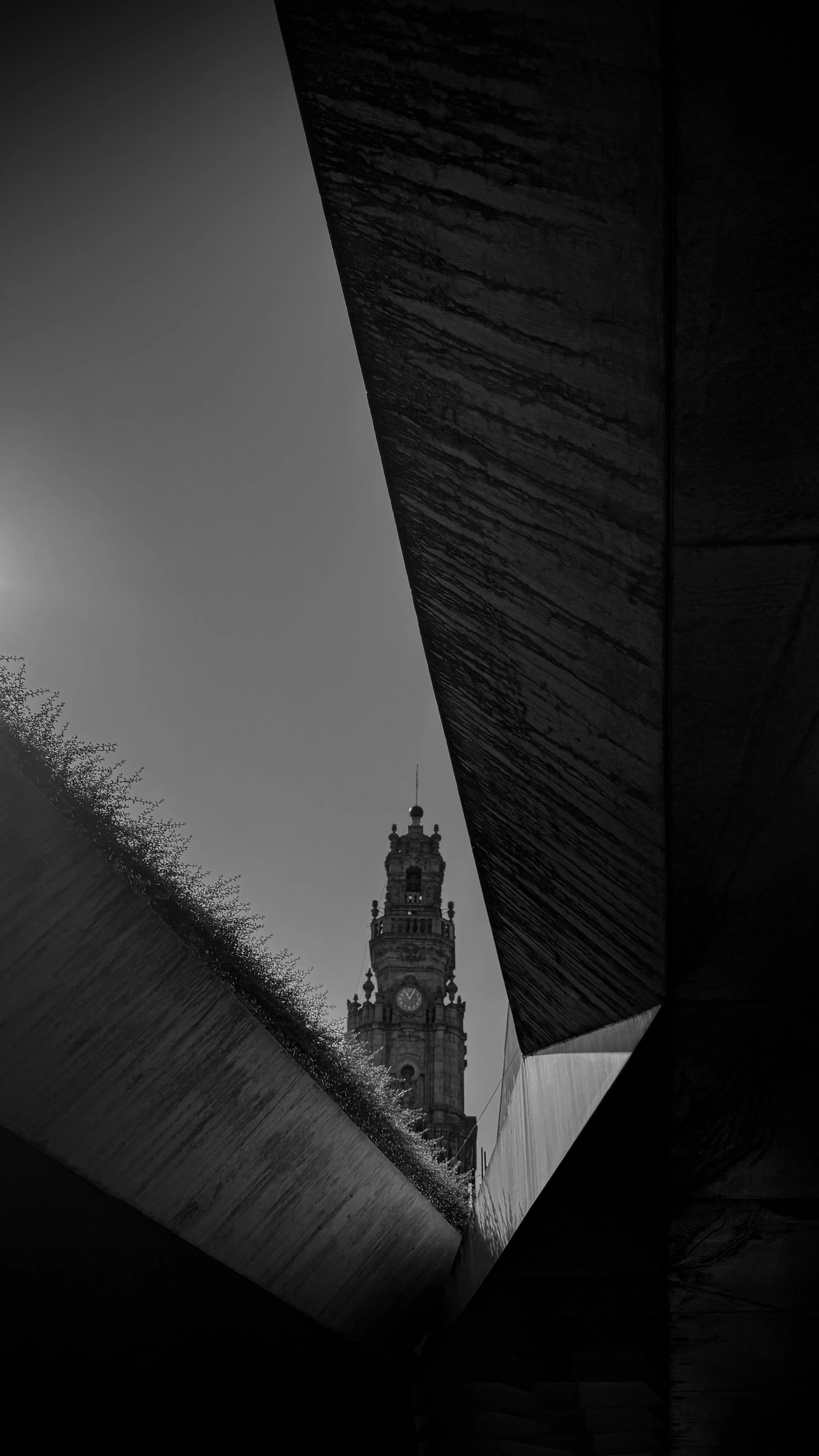 IMG_7818.jpg