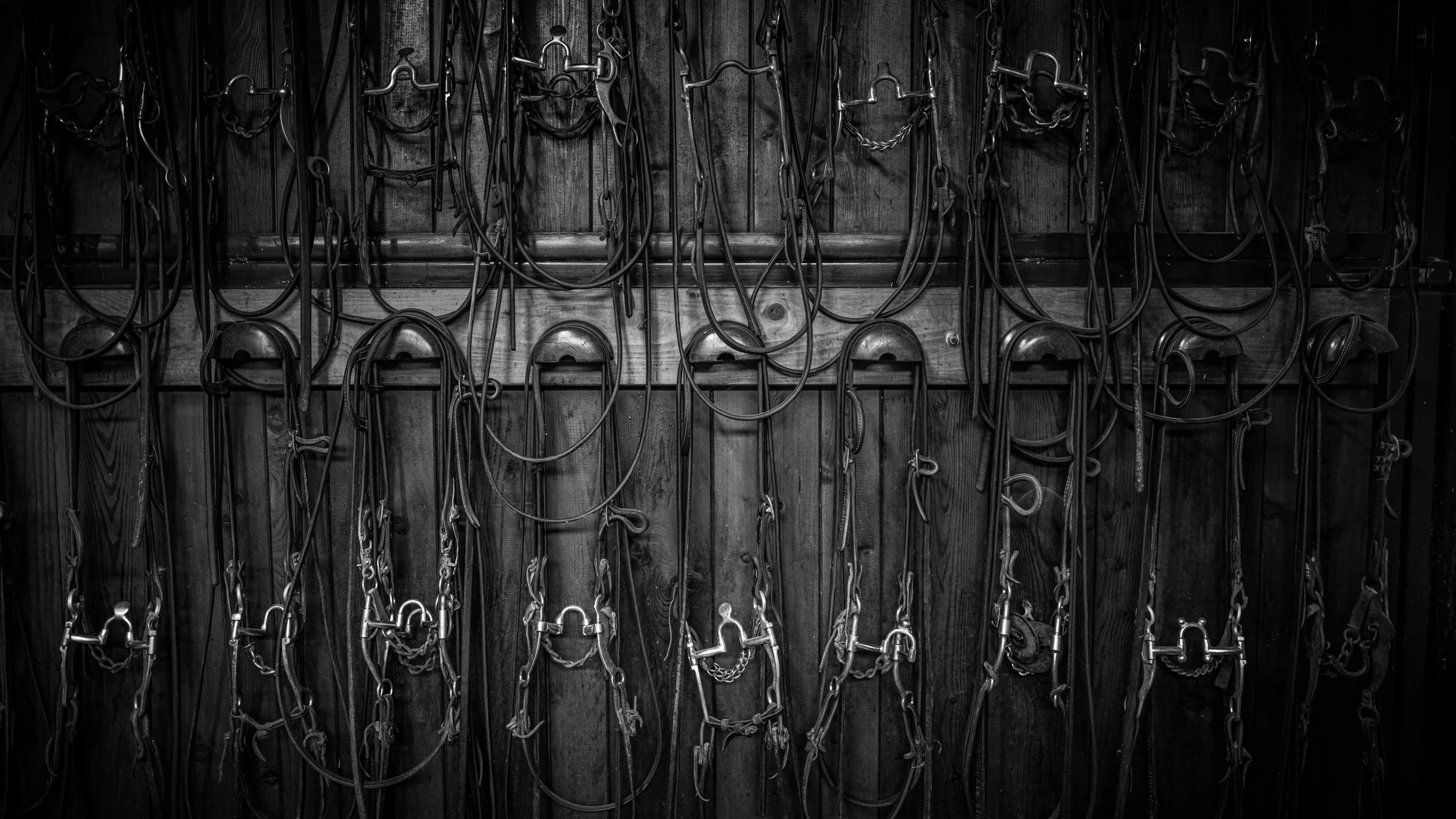 L1060751.jpg