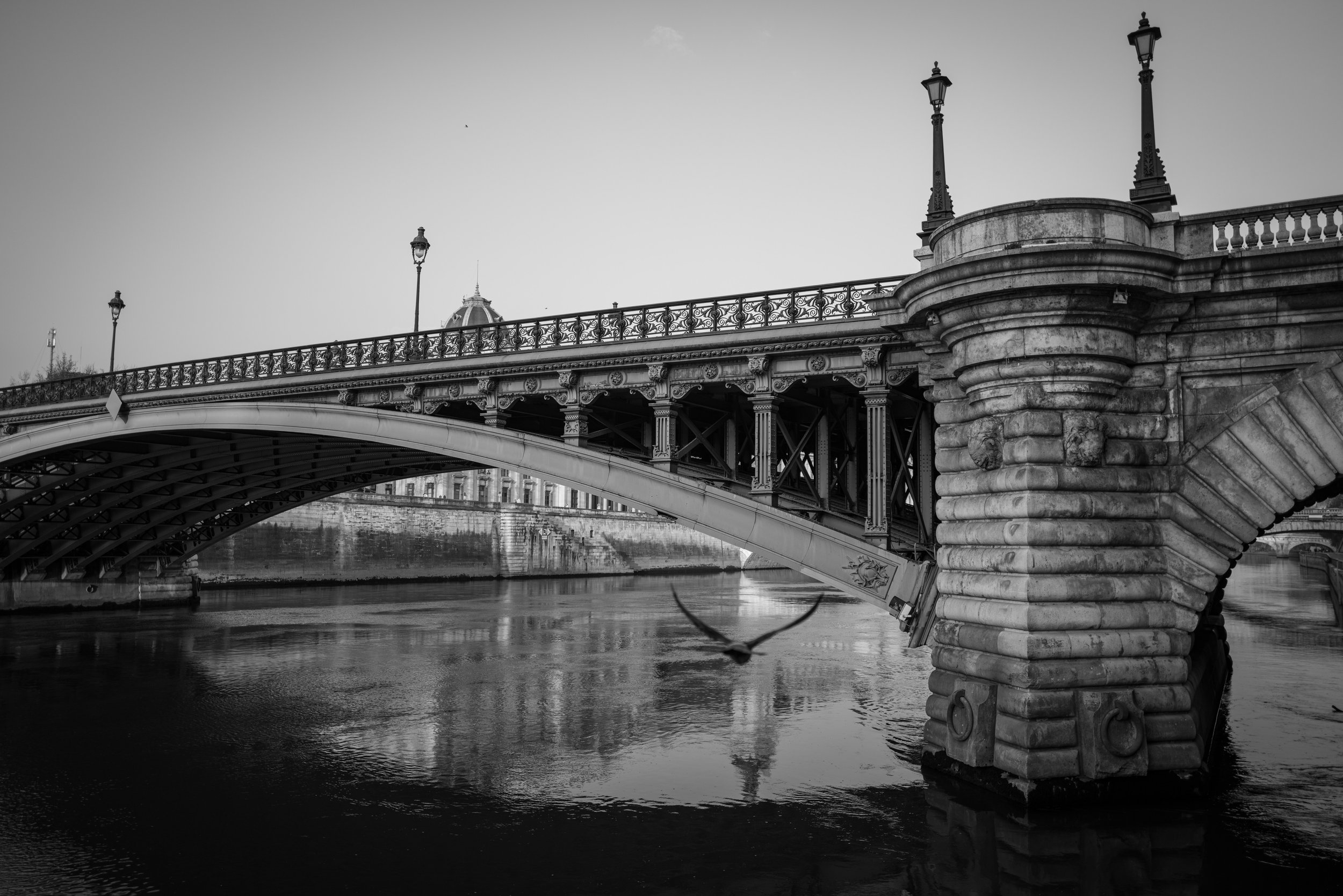 L1031330.jpg