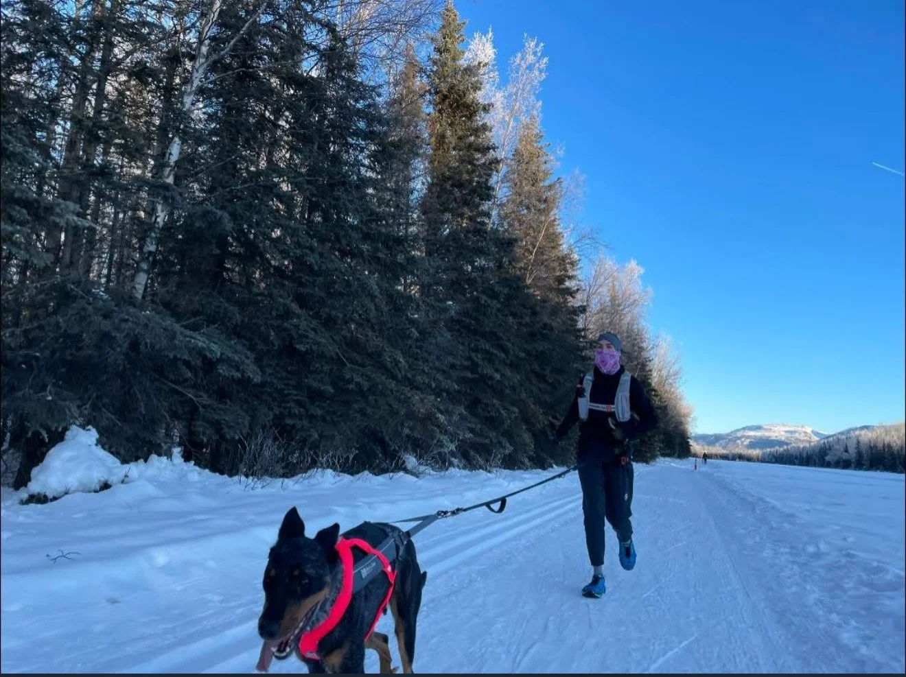 A person running with a dog on a snowy trail in a forested area under a clear blue sky.