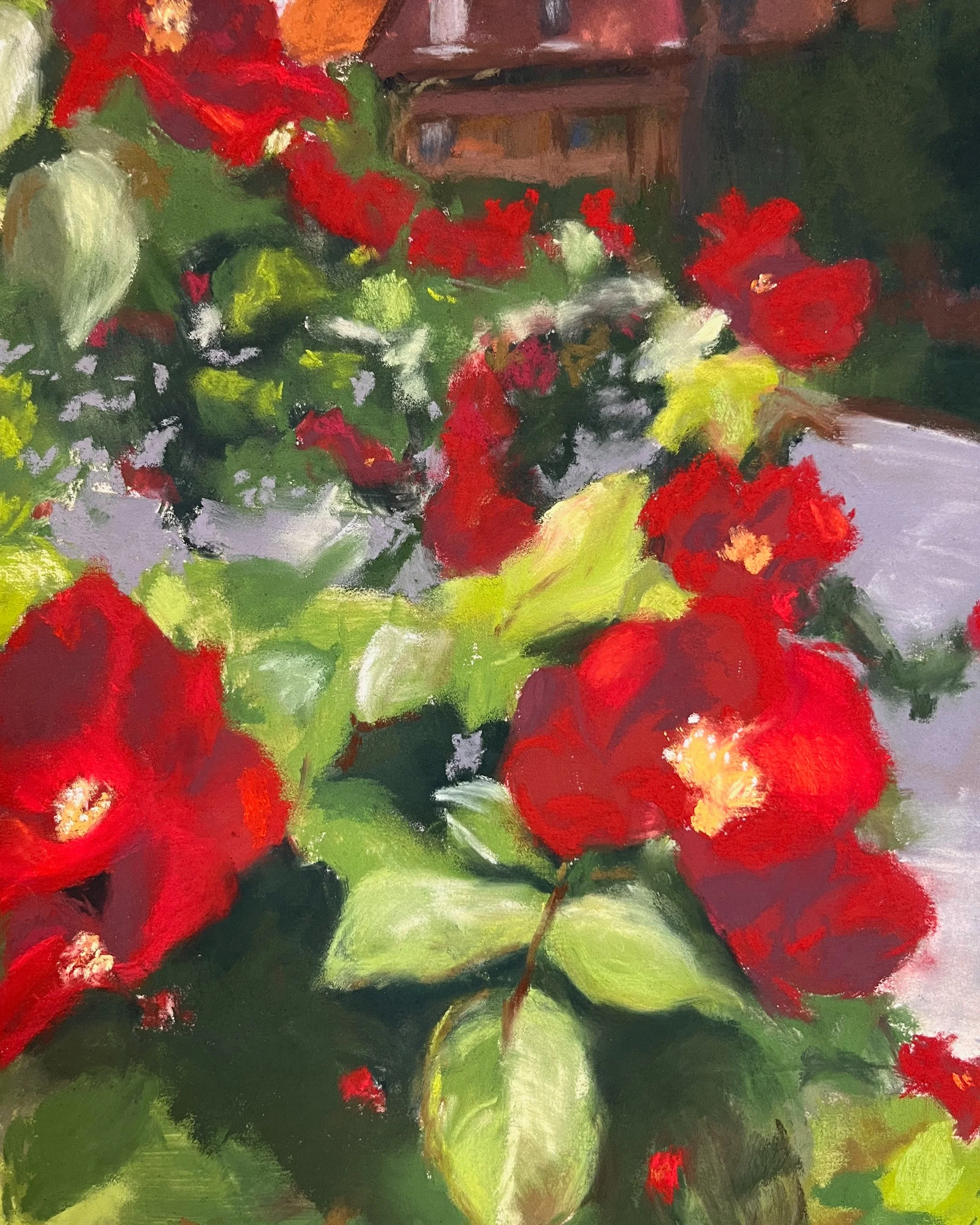 Summer Roses