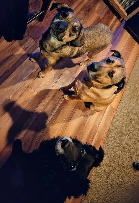 The Aunties Signature Pack