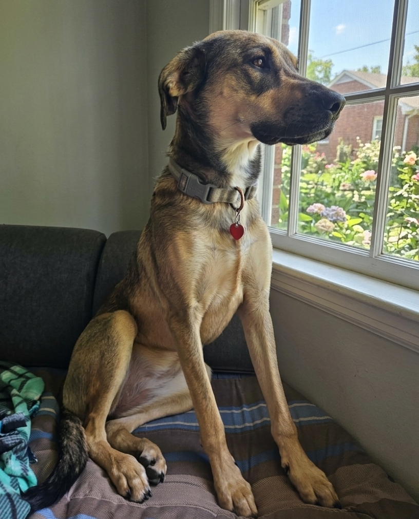 Pack Home Visit (30-Minute)