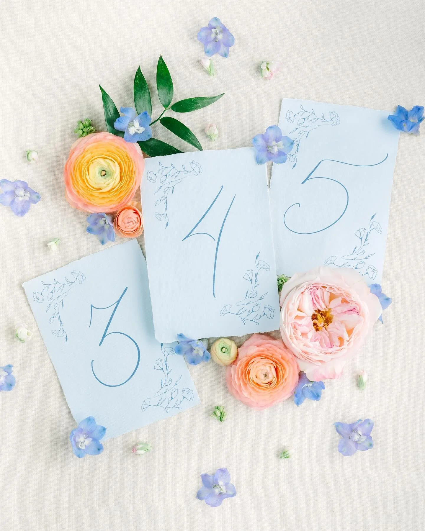 Deep diving into 2025 designs and also revisiting some of my favorites from 2024, just like these gorgeous table numbers 🩵

#weddingtablenumbers
#deckledstationery #weddingtable #weddingtablesetting #receptiontablenumbers #tablenumbers #tablenumber 