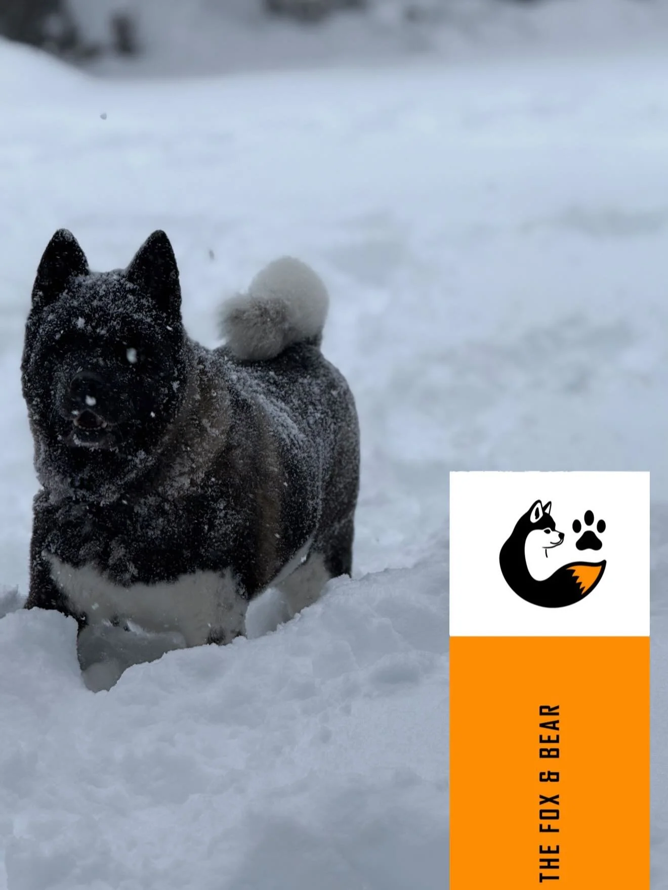 We loveeeeee ❄️☃️🌨️ days