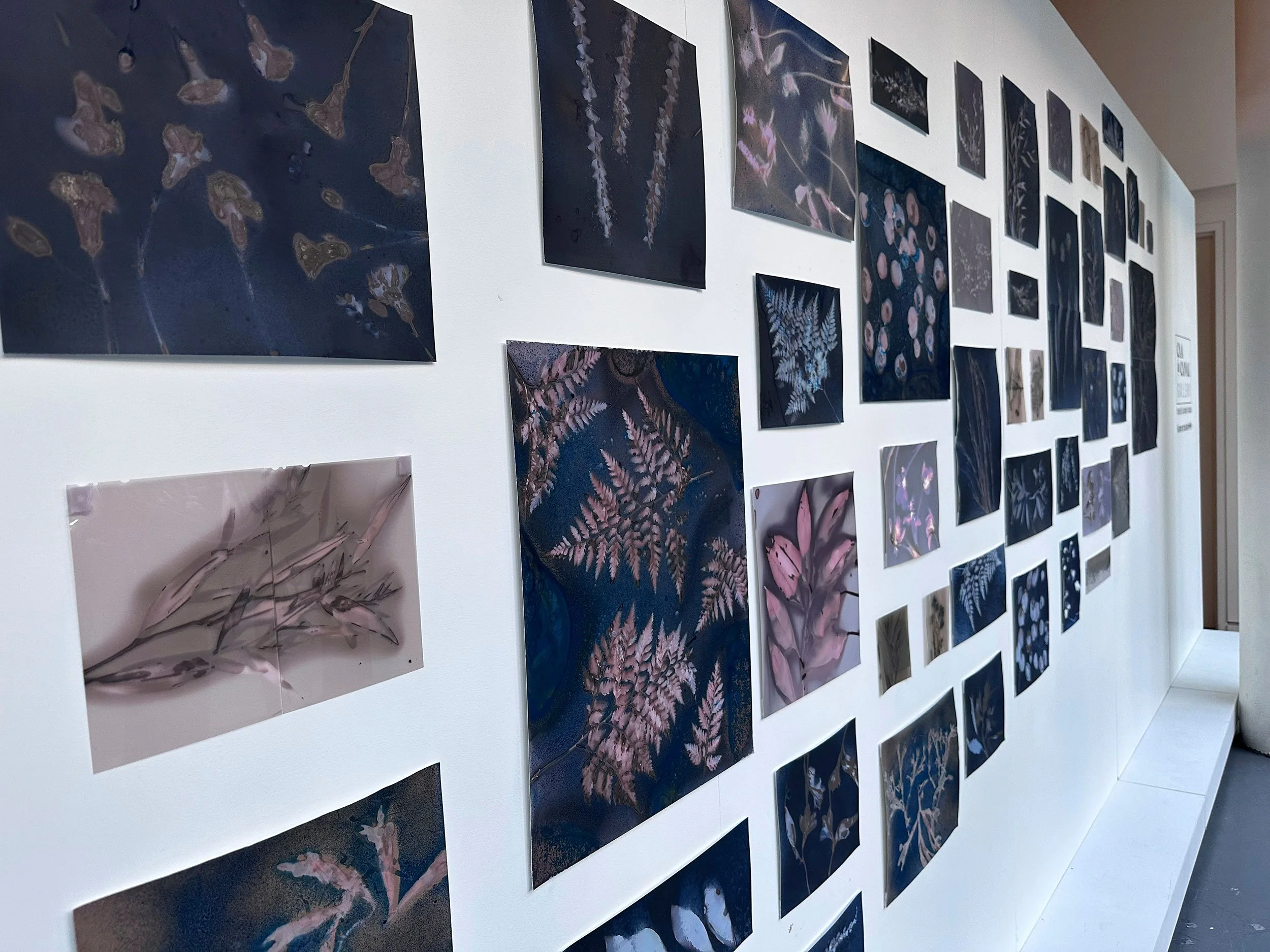Martha_Wakefield_EtherealNature_Wall_cambridge2025_.jpg
