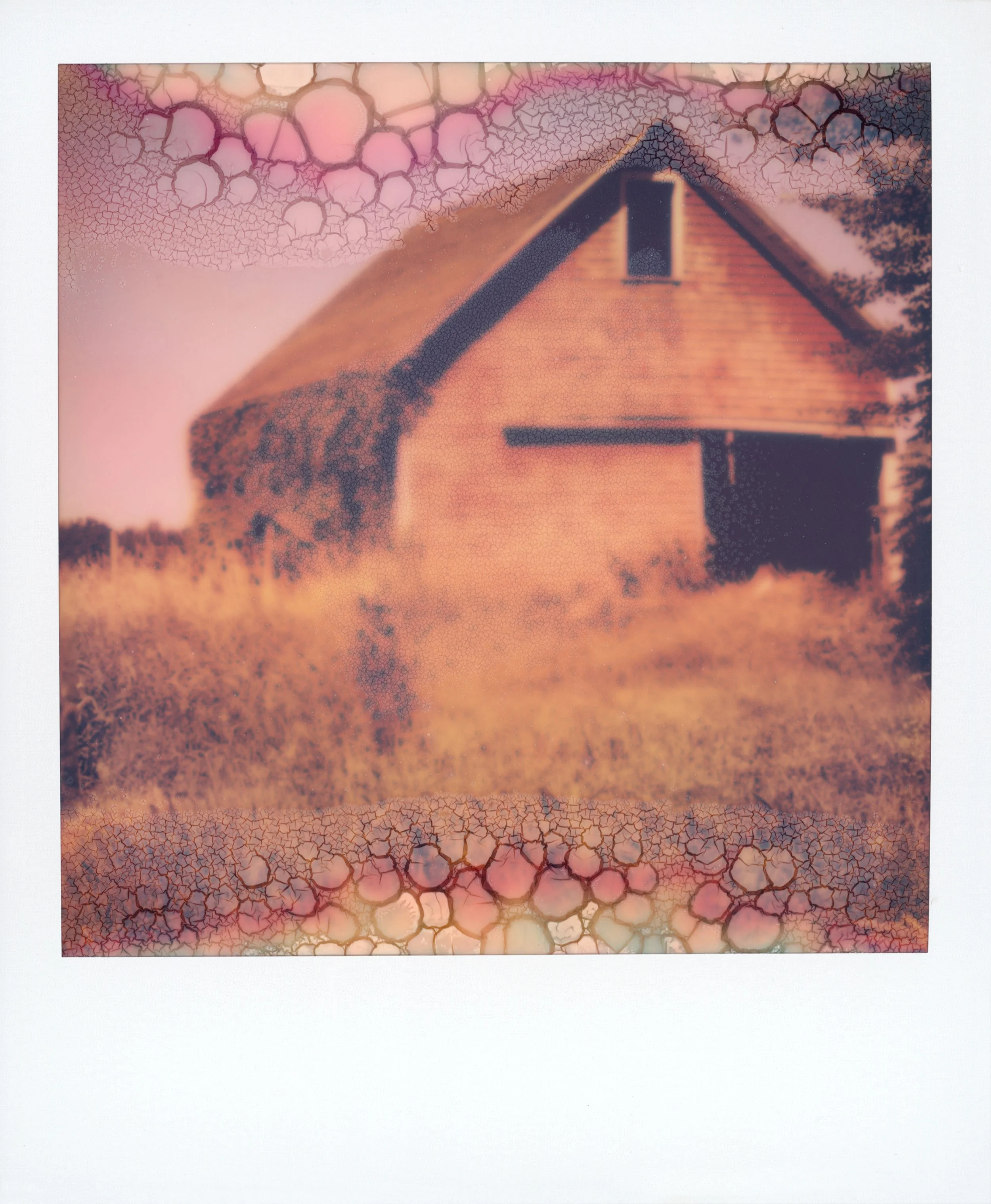 Orchard Barn - manipulated Polaroid, 
4.25 x 3.5 inches