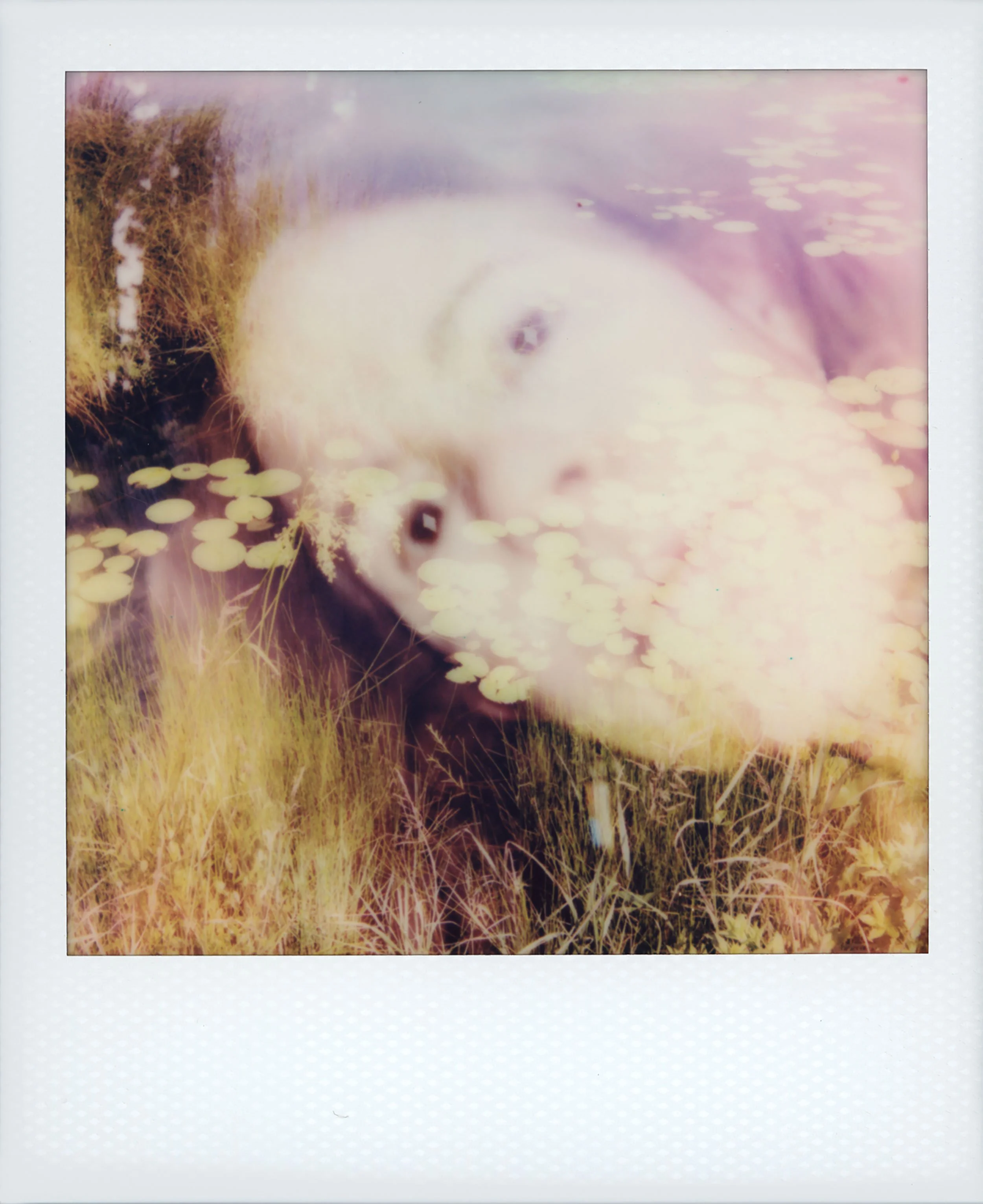 Keeping My Head Above Water - double exposure self portrait, 4.25 x 3.5 inches