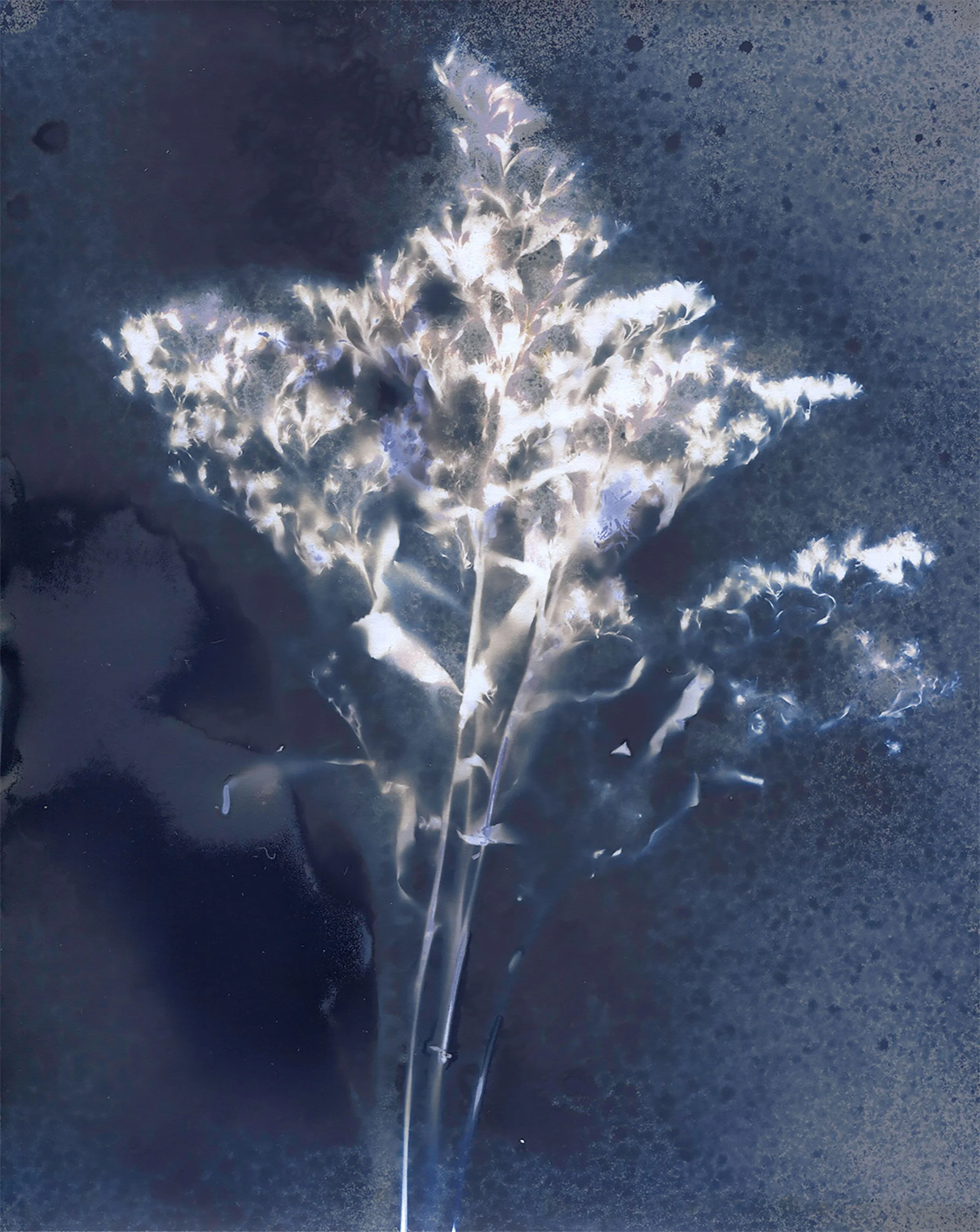 Cyanlumen - Goldenrod