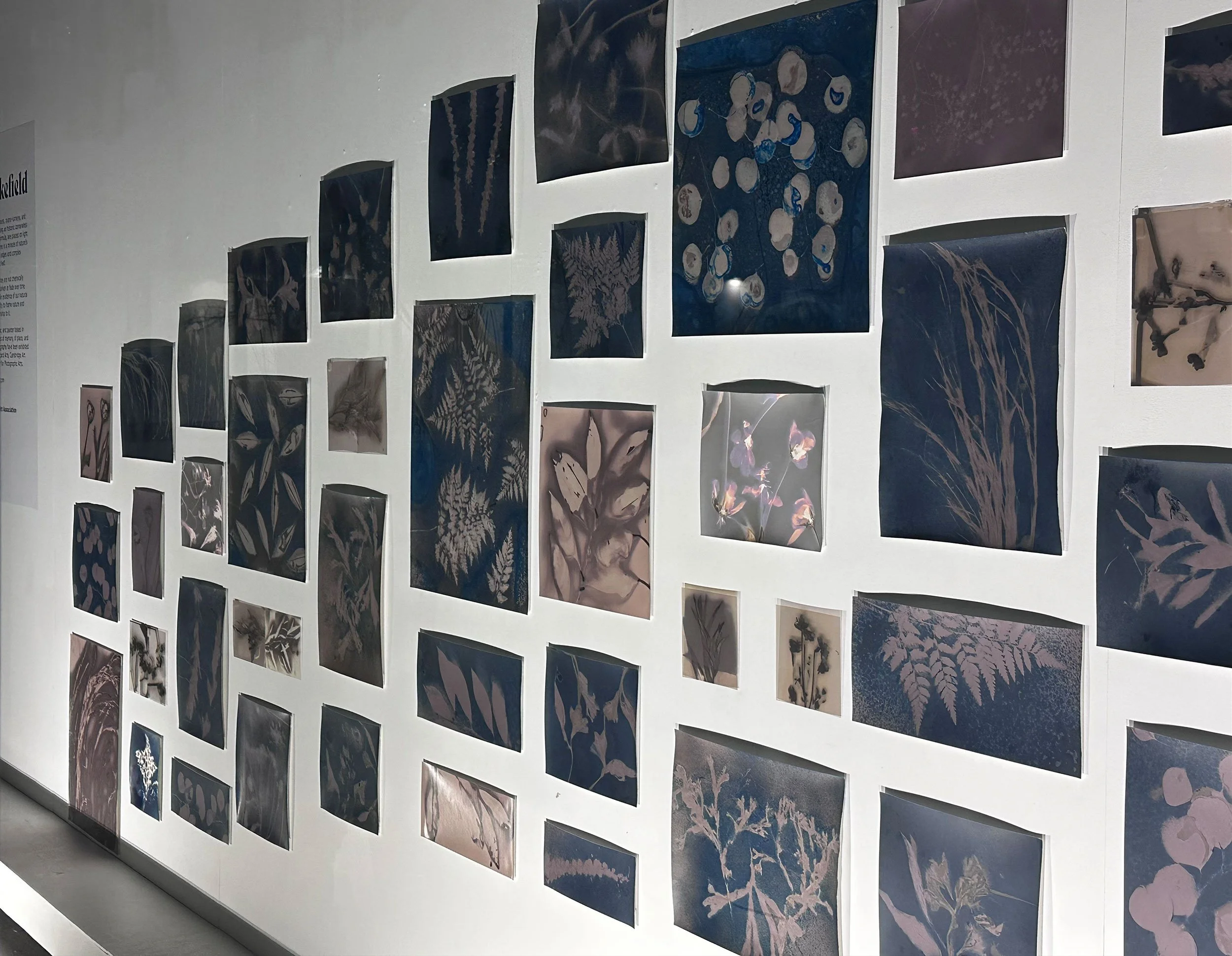 Ethereal Nature - Installation detail