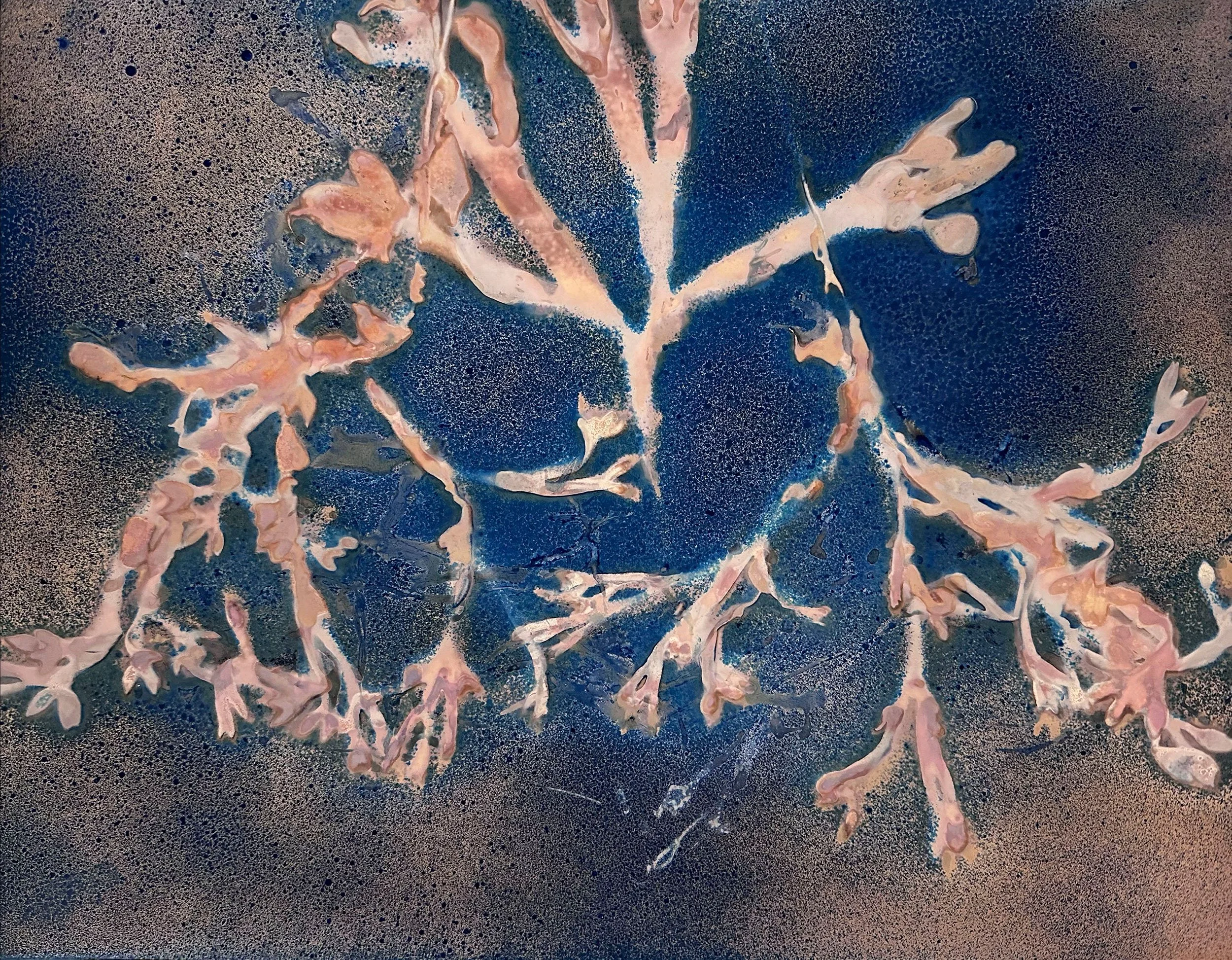 Martha_Wakefield_EtherealNature_Seaweed_11x14_IMG_4986.jpg