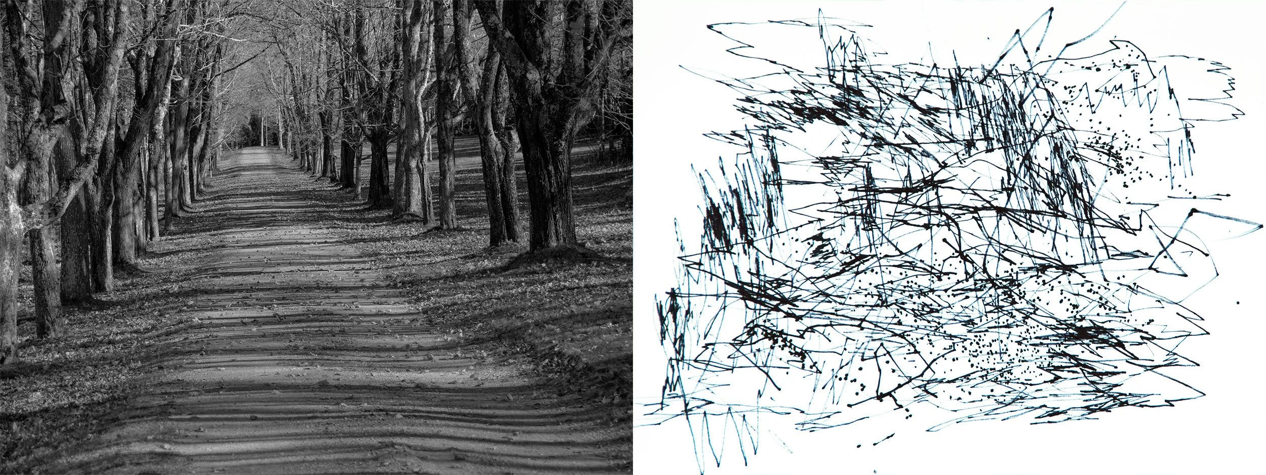 Drawing The Maine Roads V - archival pigment print, ink drawing, 6 x 16 inches