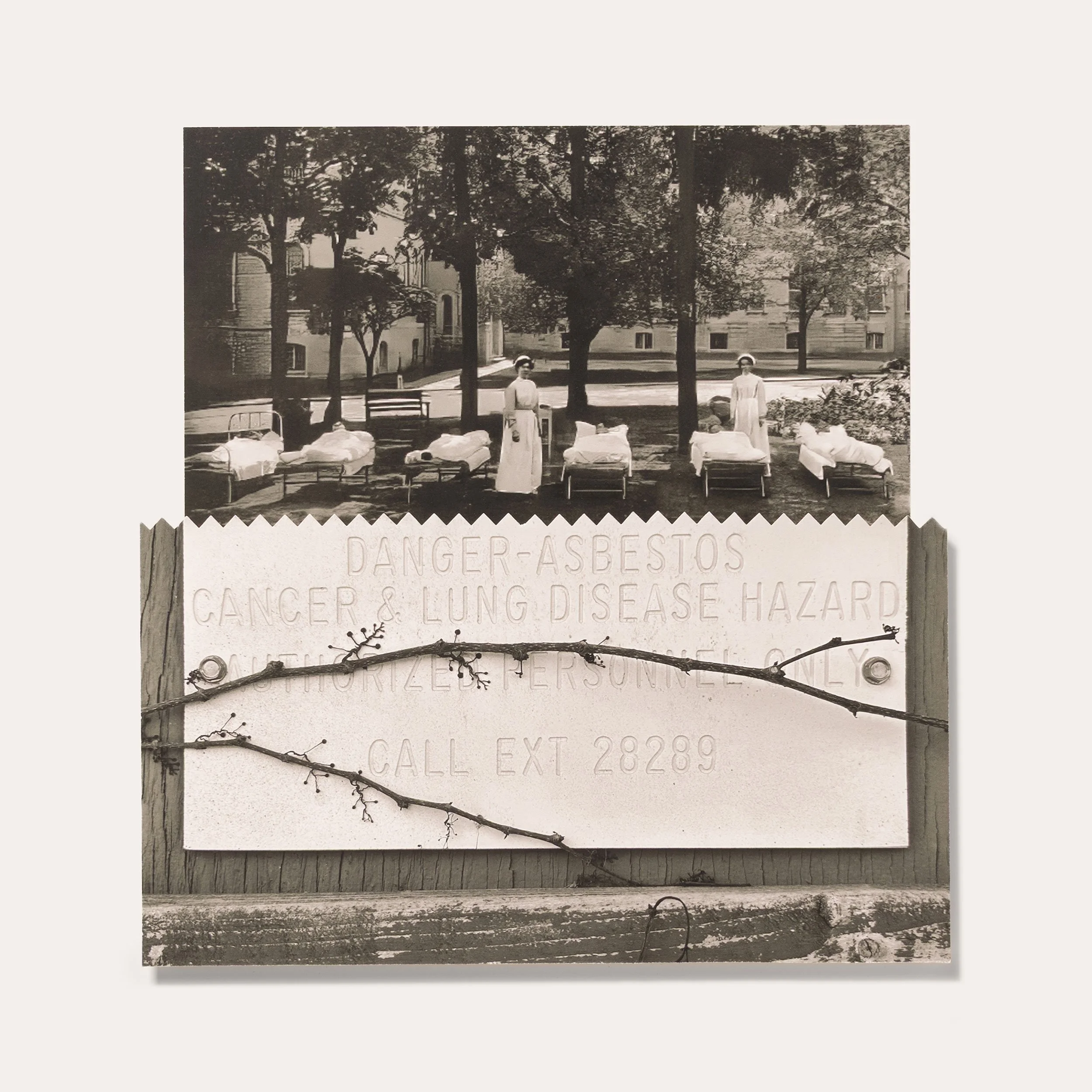 'Toxic Ward' - archival pigment prints/Claybord 12 x 12 inches