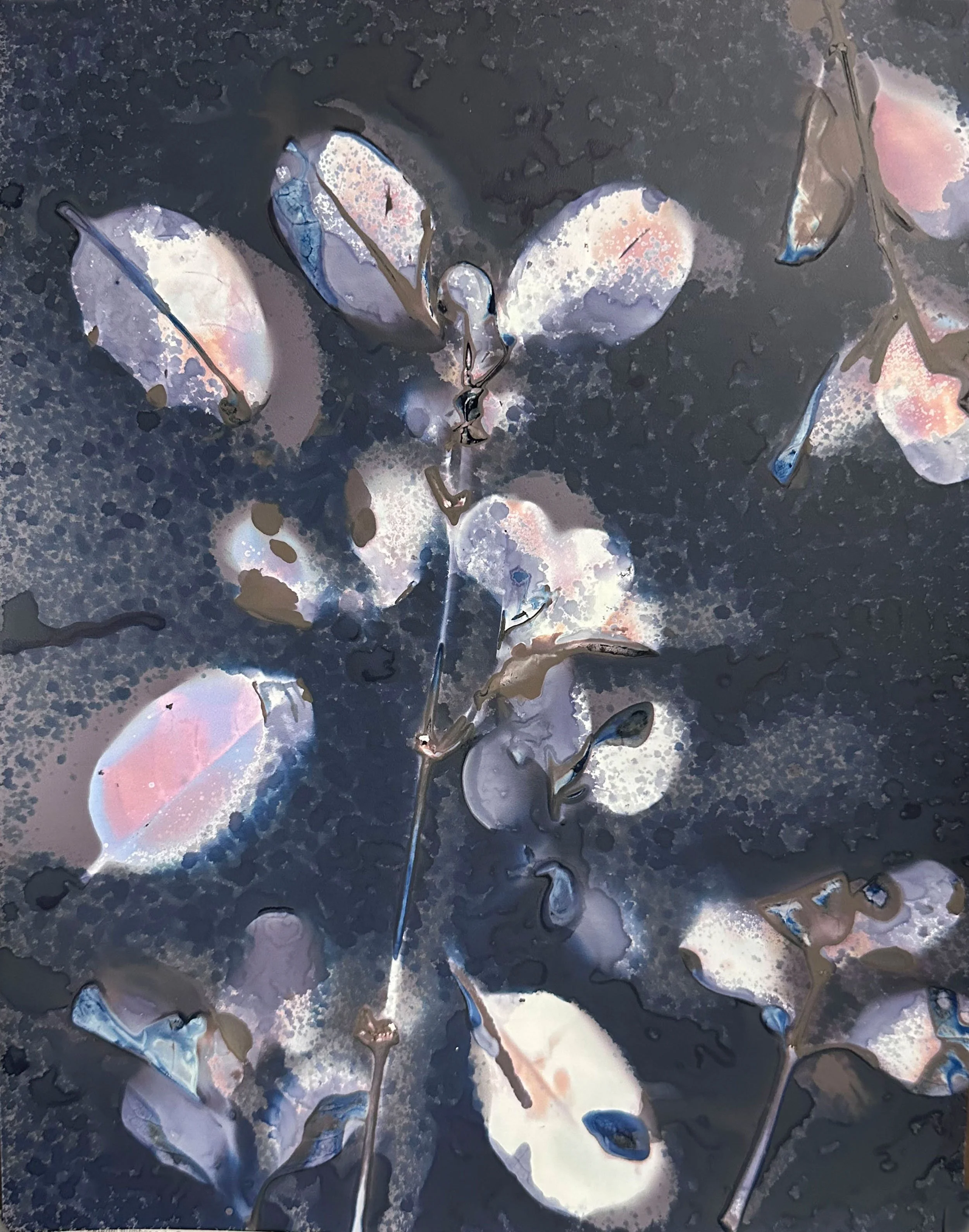 Martha_Wakefield_EtherealNature_Cyanolumen_plantBIMG_4999.jpg
