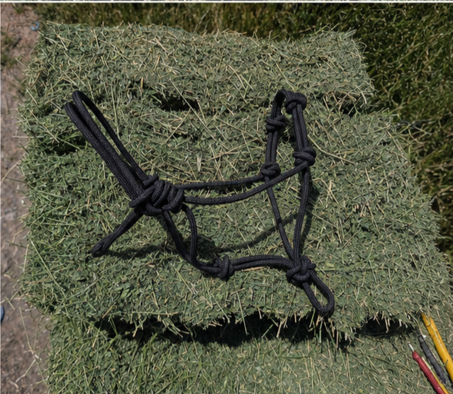 70579346-b3ab-4fee-93ed-9003622ae03b.png