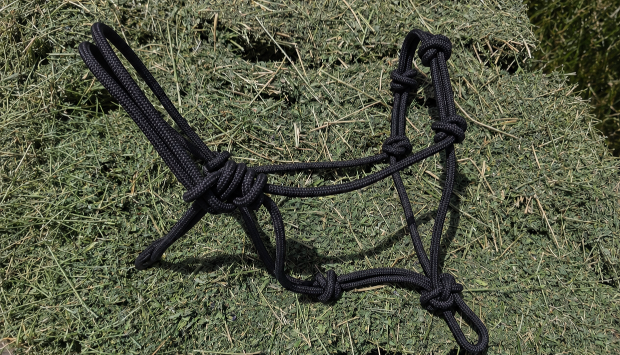 2218c751-6c7a-4355-b558-c9d86c4931aa.png