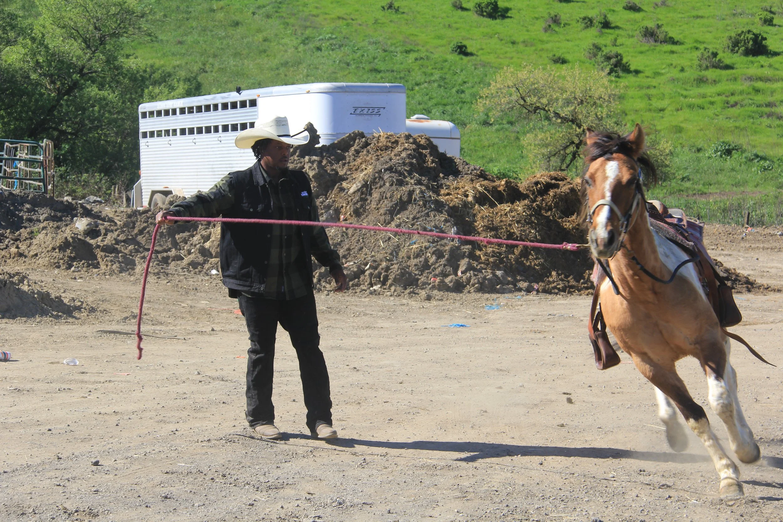 Summer Horse Program