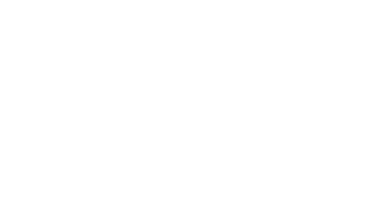 The Flotilla