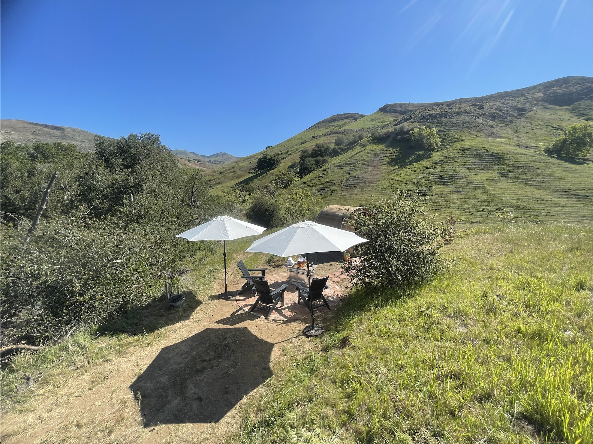 Screenshot 2026-03-03 at 4.35.16 PM.png