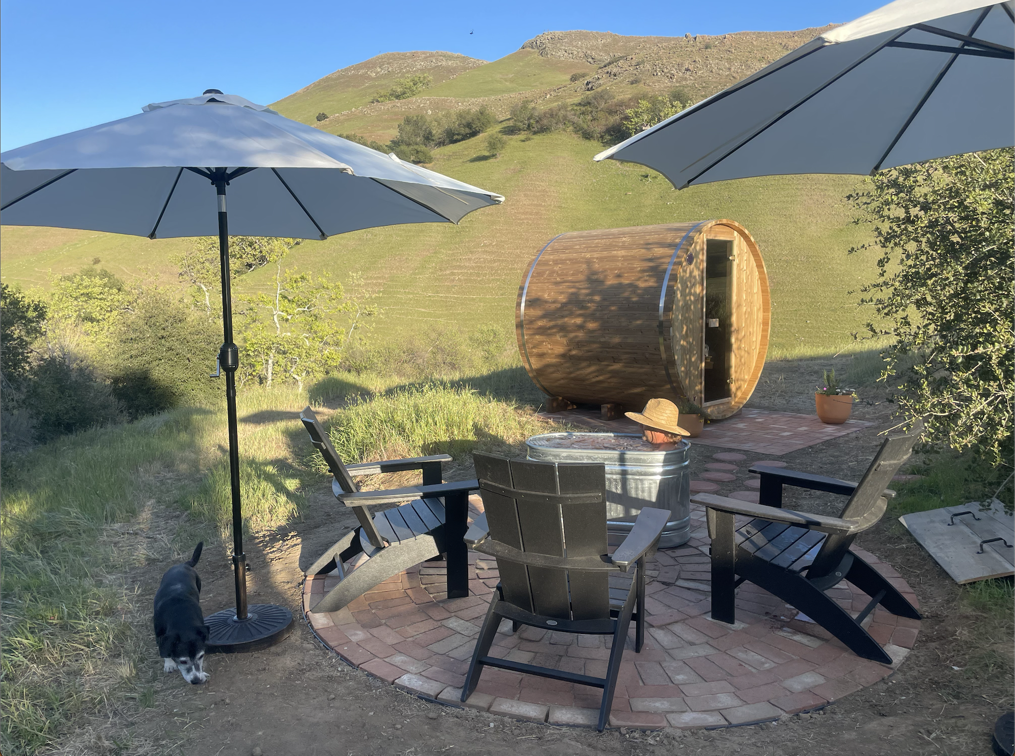 Screenshot 2026-03-03 at 4.35.41 PM.png