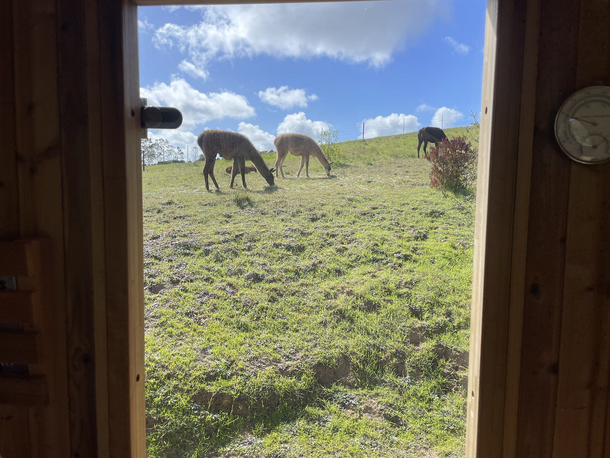 Screenshot 2026-03-03 at 4.34.52 PM.png