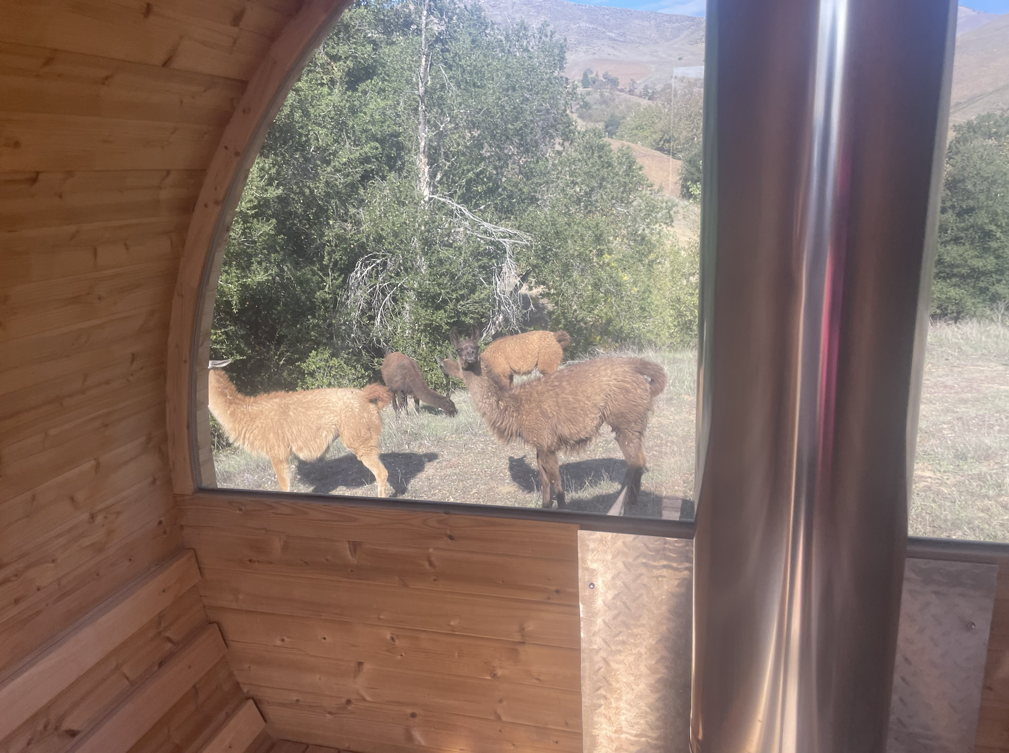 Screenshot 2026-03-03 at 4.39.38 PM.png