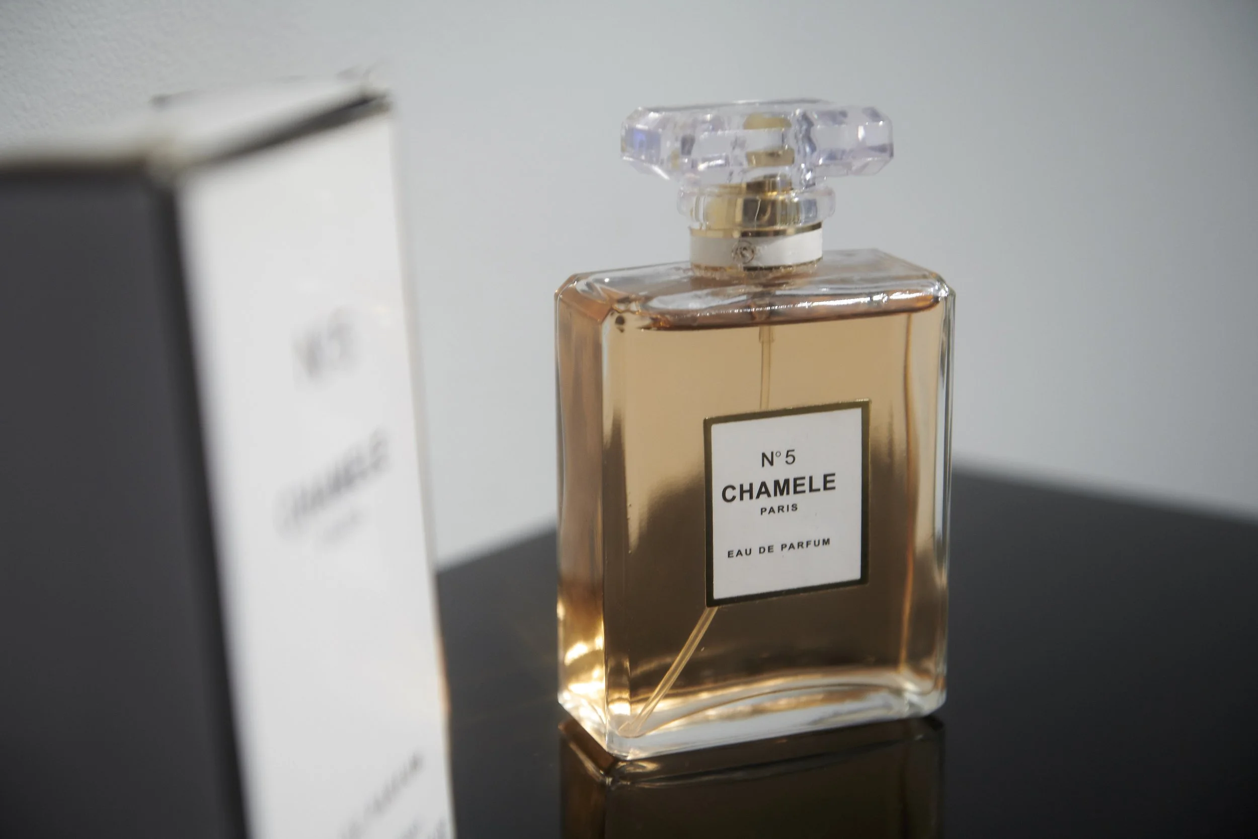 "No. 5 CHAMELE Paris" as part of "Gloss", 2019. Found objects, perfume bottle: 11 cm x 6.5 cm x 3.5 cm, cardboard packaging: 11.5 cm x 7 cm x 4 cm. Photo: Tim da-Rin.