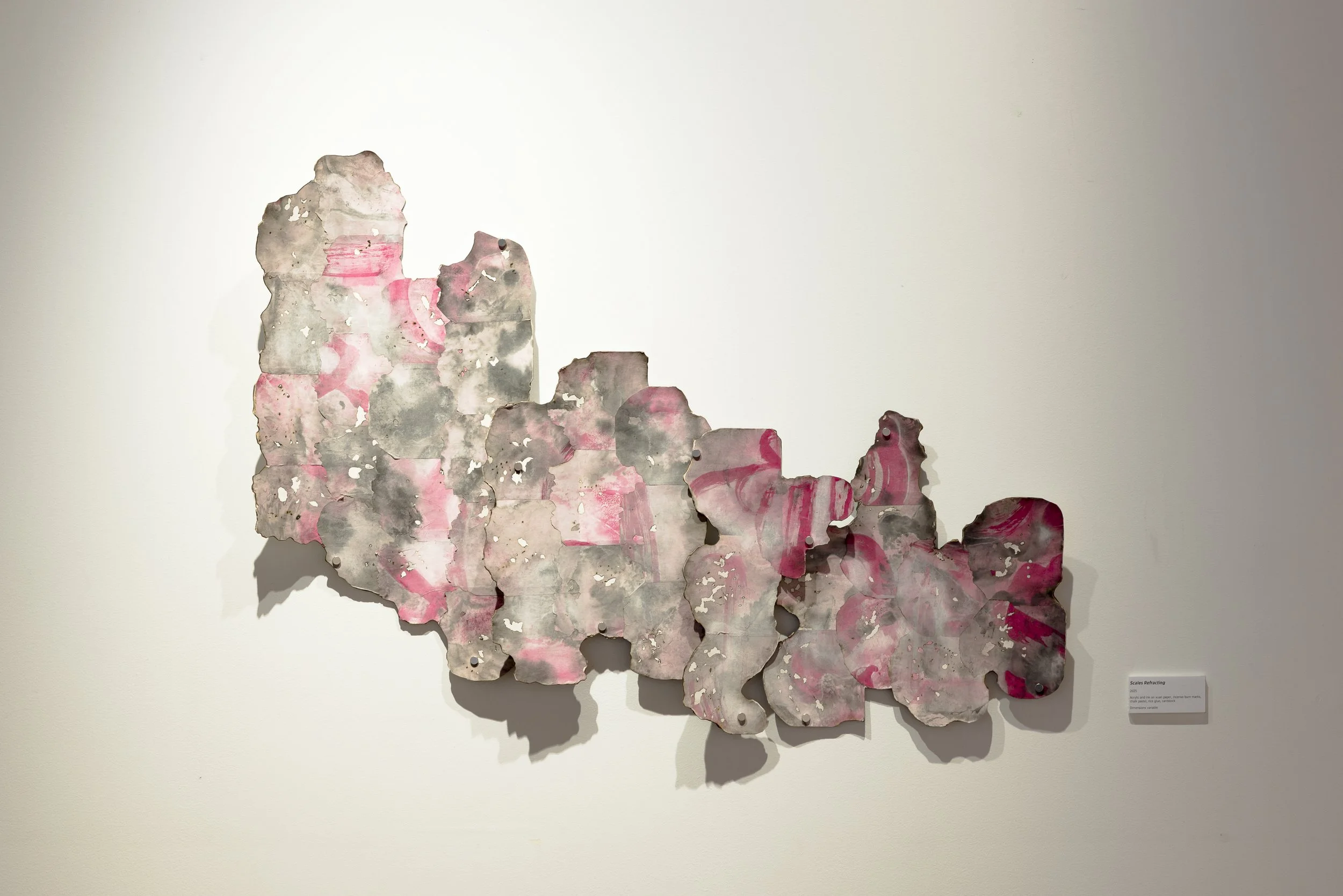 "Scales Refracting", 2025 (ongoing), acrylic and ink on xuan paper, incense burn marks, chalk pastel, rice glue, cardstock, dimensions variable. Photo: Document Photography.